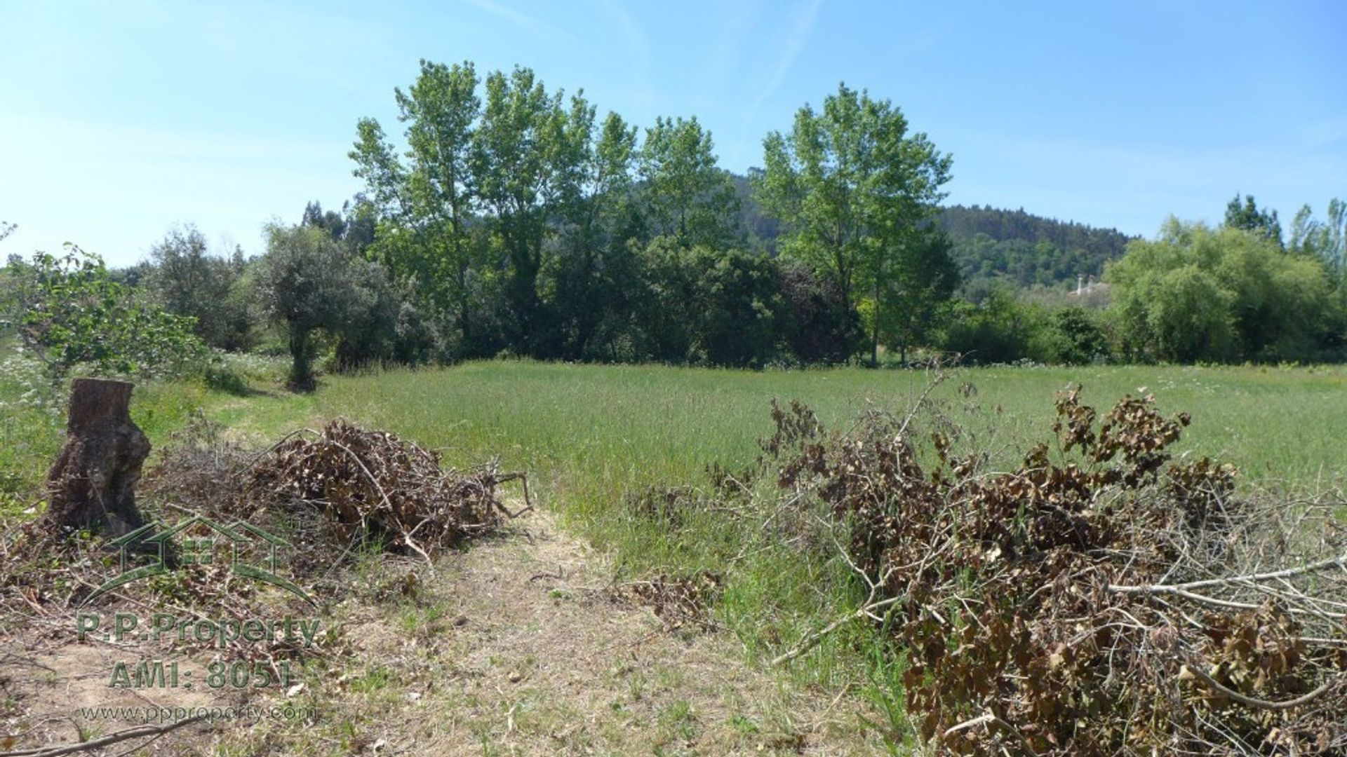 loger dans Ansião, Leiria District 10827881