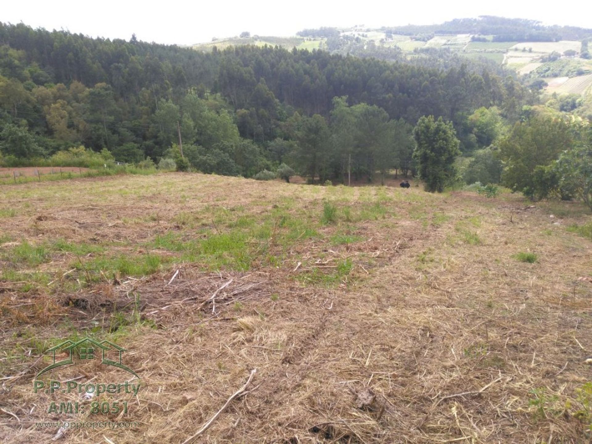 Tierra en Caldas da Rainha, Leiría 10827886