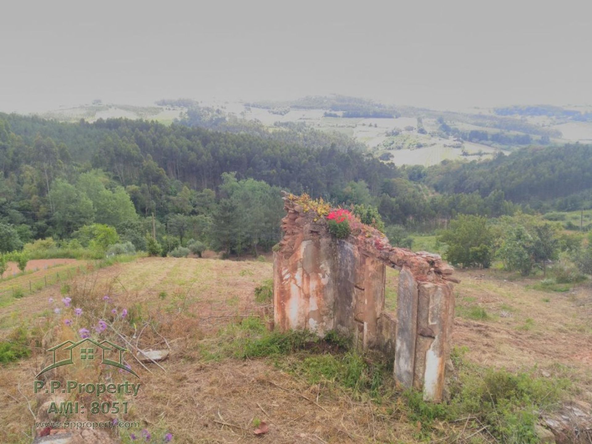 Tanah dalam Caldas da Rainha, Leiria 10827886