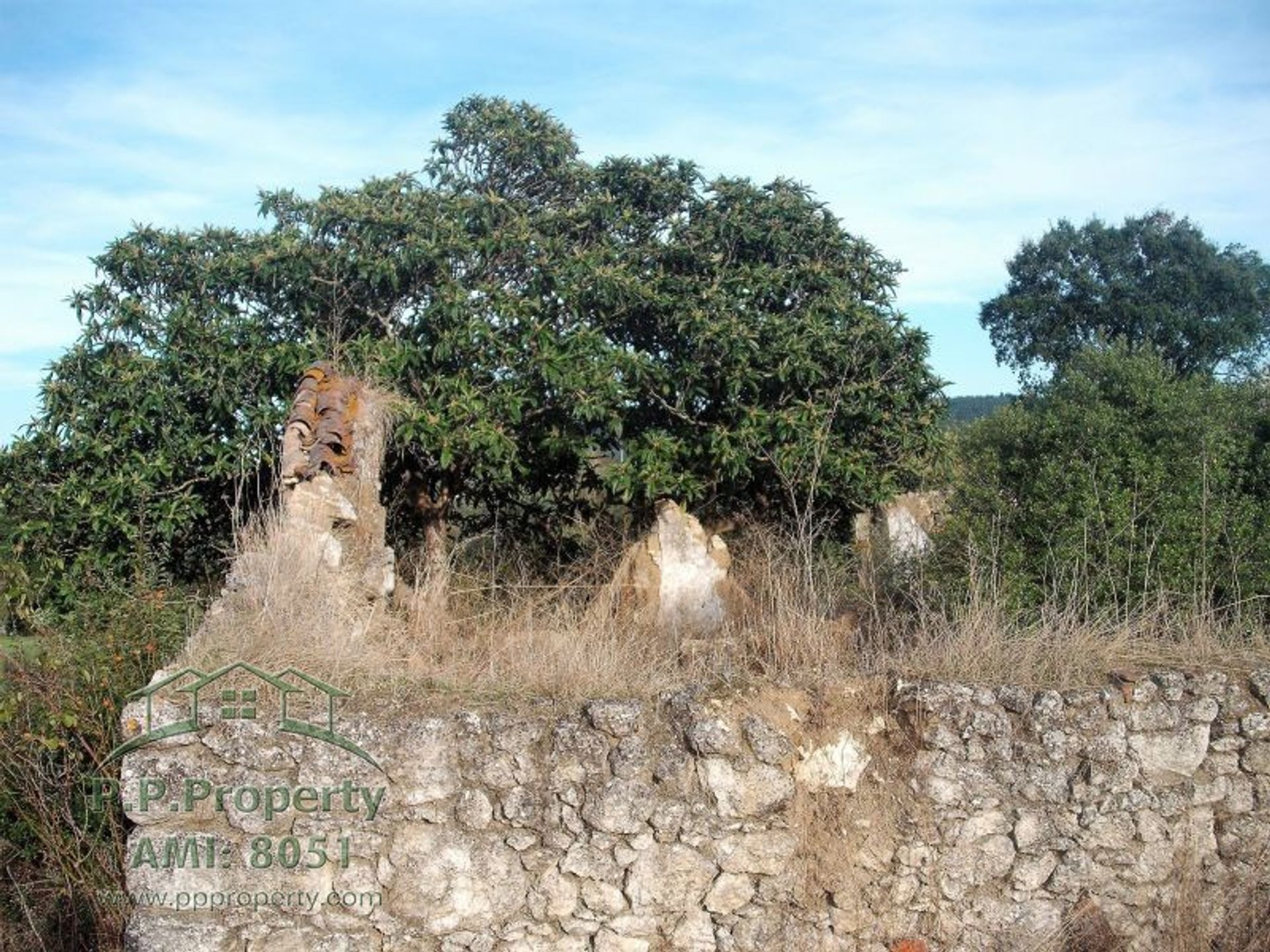 Hus i Tomar, Santarém District 10827893