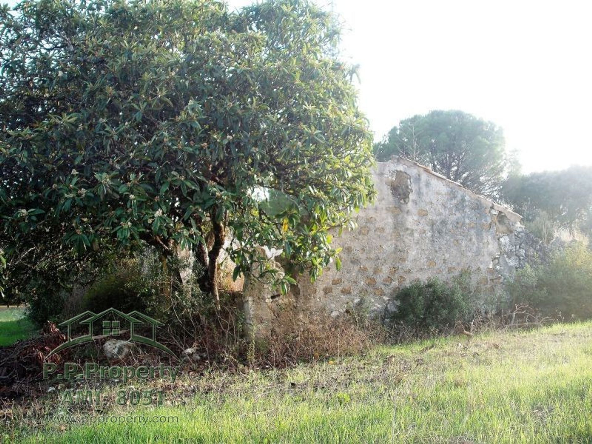 Hus i Tomar, Santarém District 10827893