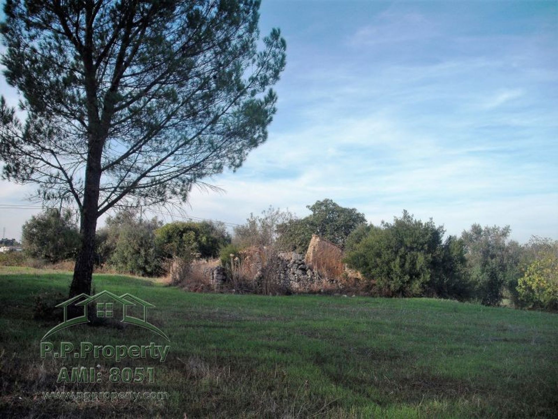 Huis in Palhava, Santarém 10827893