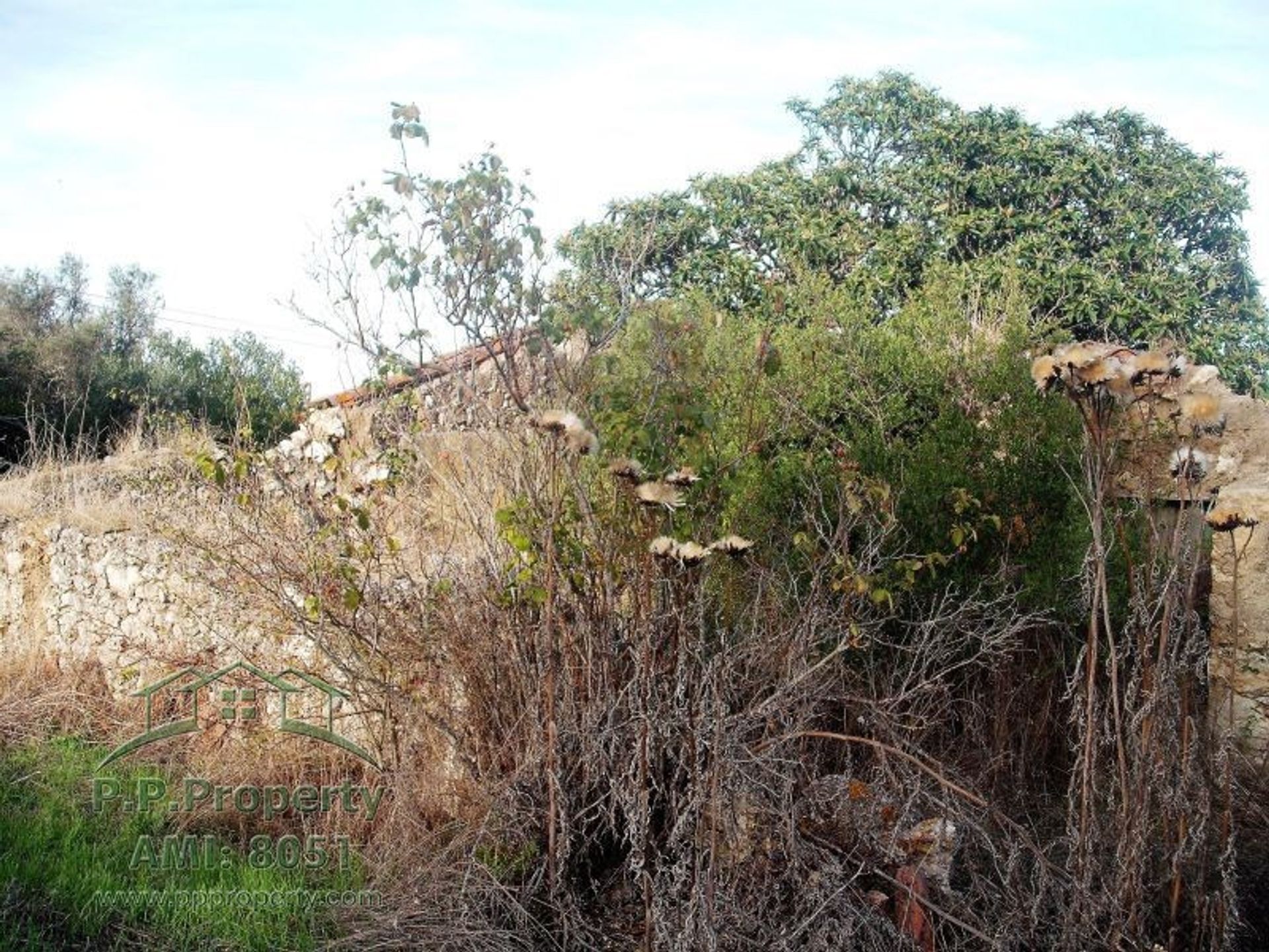 Hus i Tomar, Santarém District 10827893