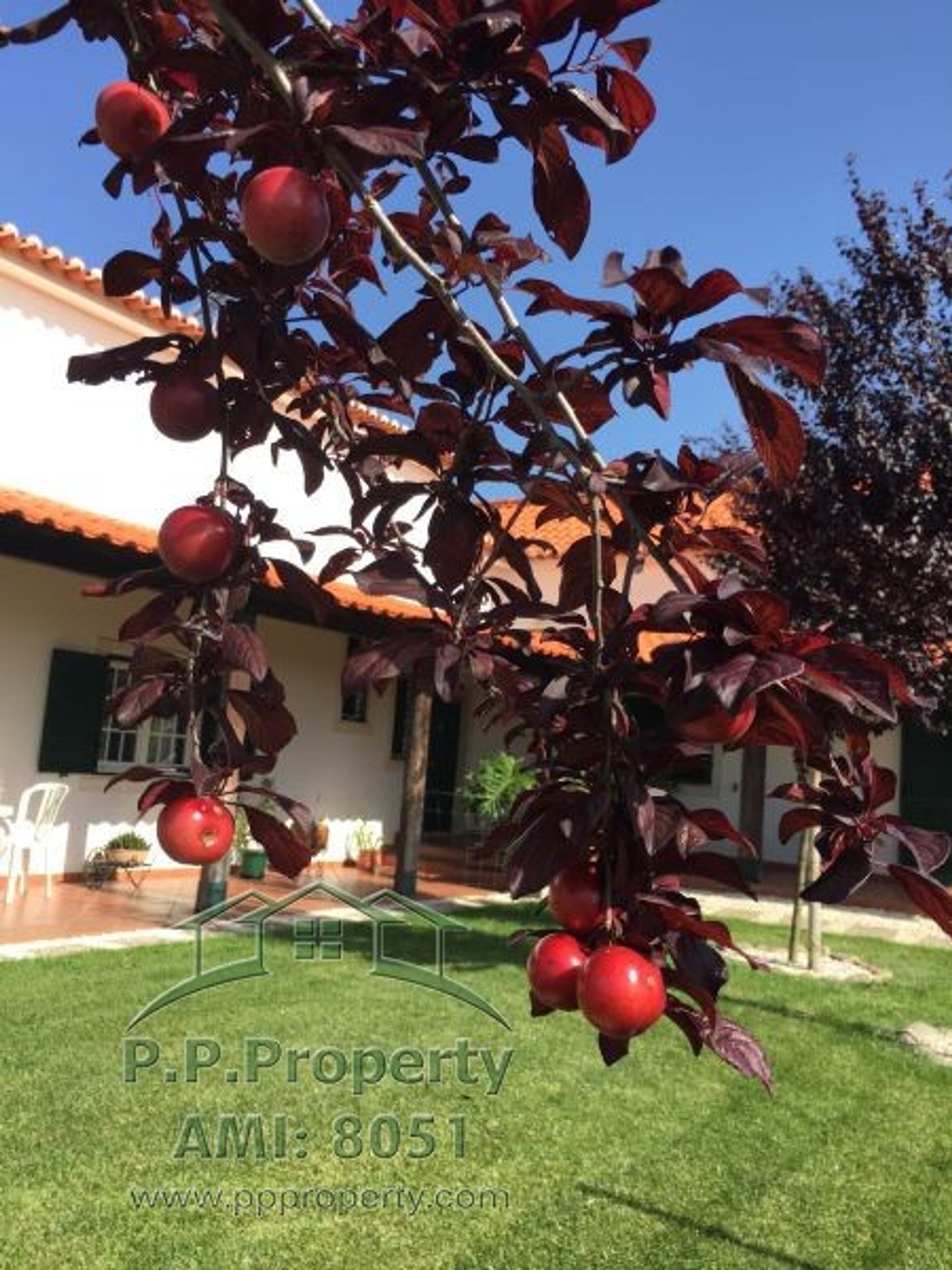 casa en Abrantes, Santarém 10827908