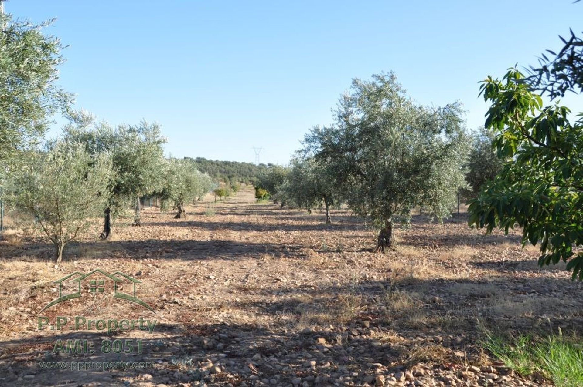 Rumah di Abrantes, Santarém District 10827908