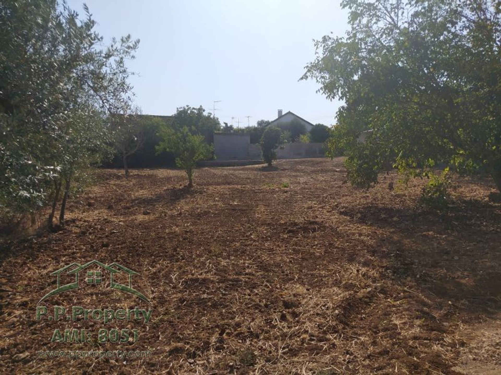 Casa nel Ferreira do Zêzere, Santarém District 10827919