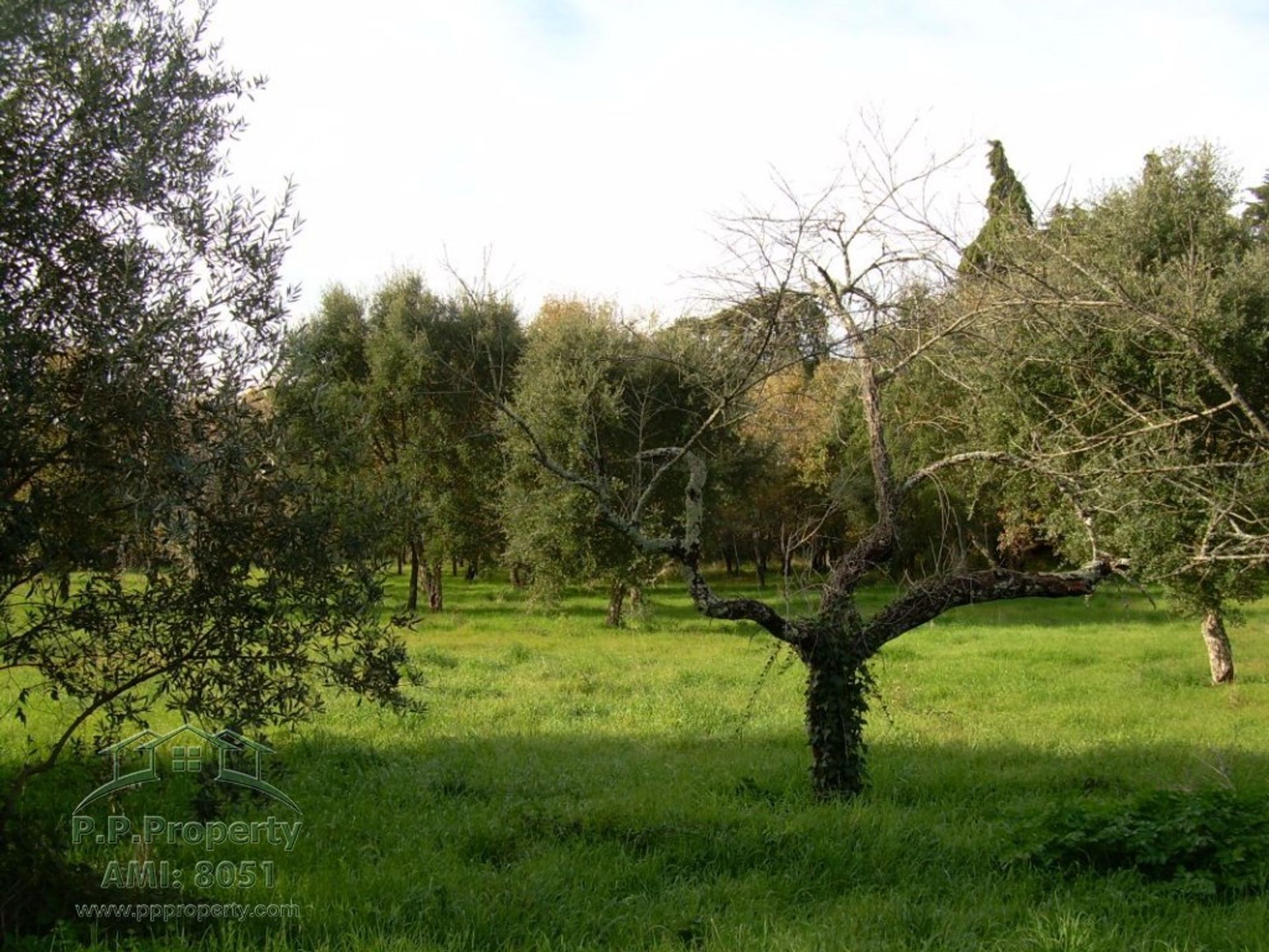 Hus i Alvaiázere, Leiria 10827922