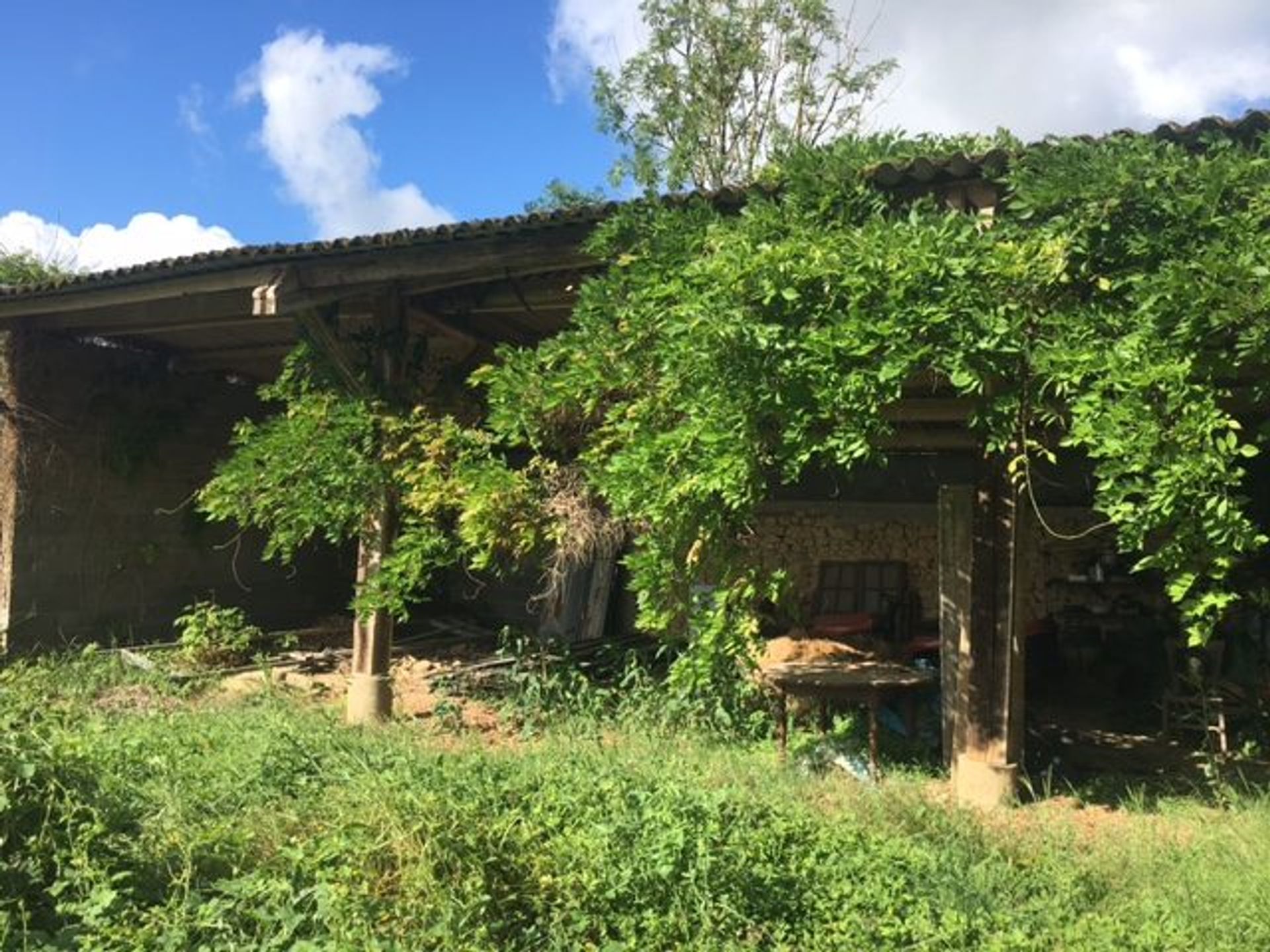 casa no Cardeilhac, Occitanie 10828088