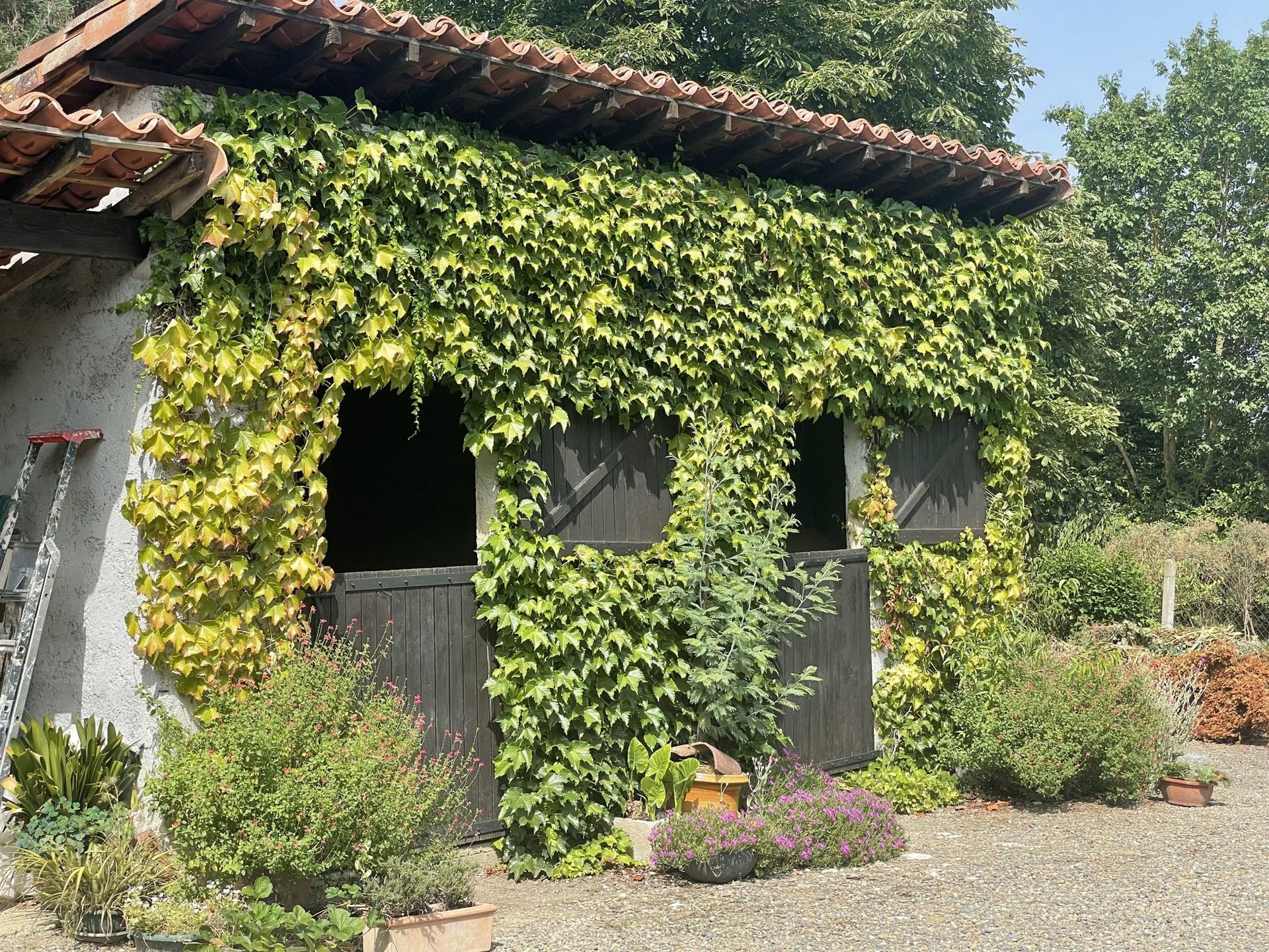 Hus i Masseube, Occitanie 10828171