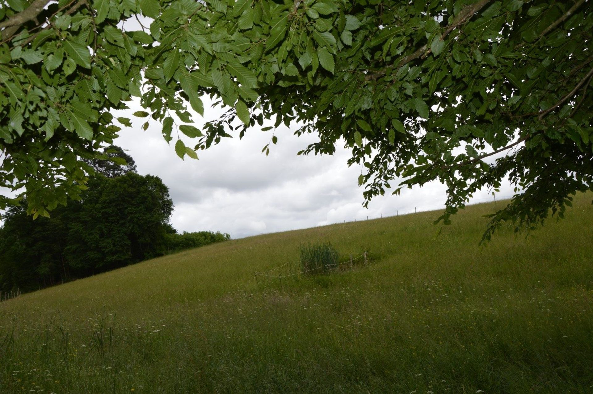 Talo sisään Aignan, Occitanie 10828174