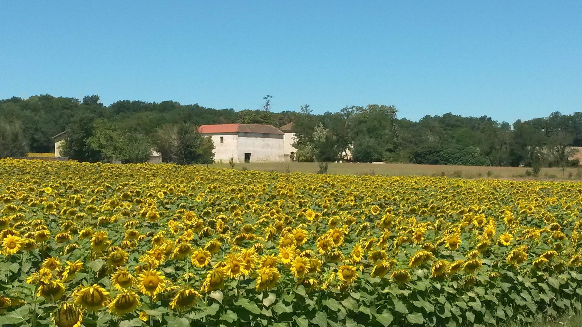 Kondominium w Condom, Occitanie 10828201