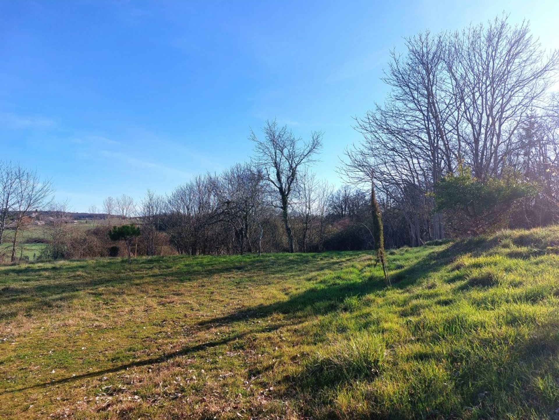 Casa nel Sigoulès-et-Flaugeac, Nouvelle-Aquitaine 10828855