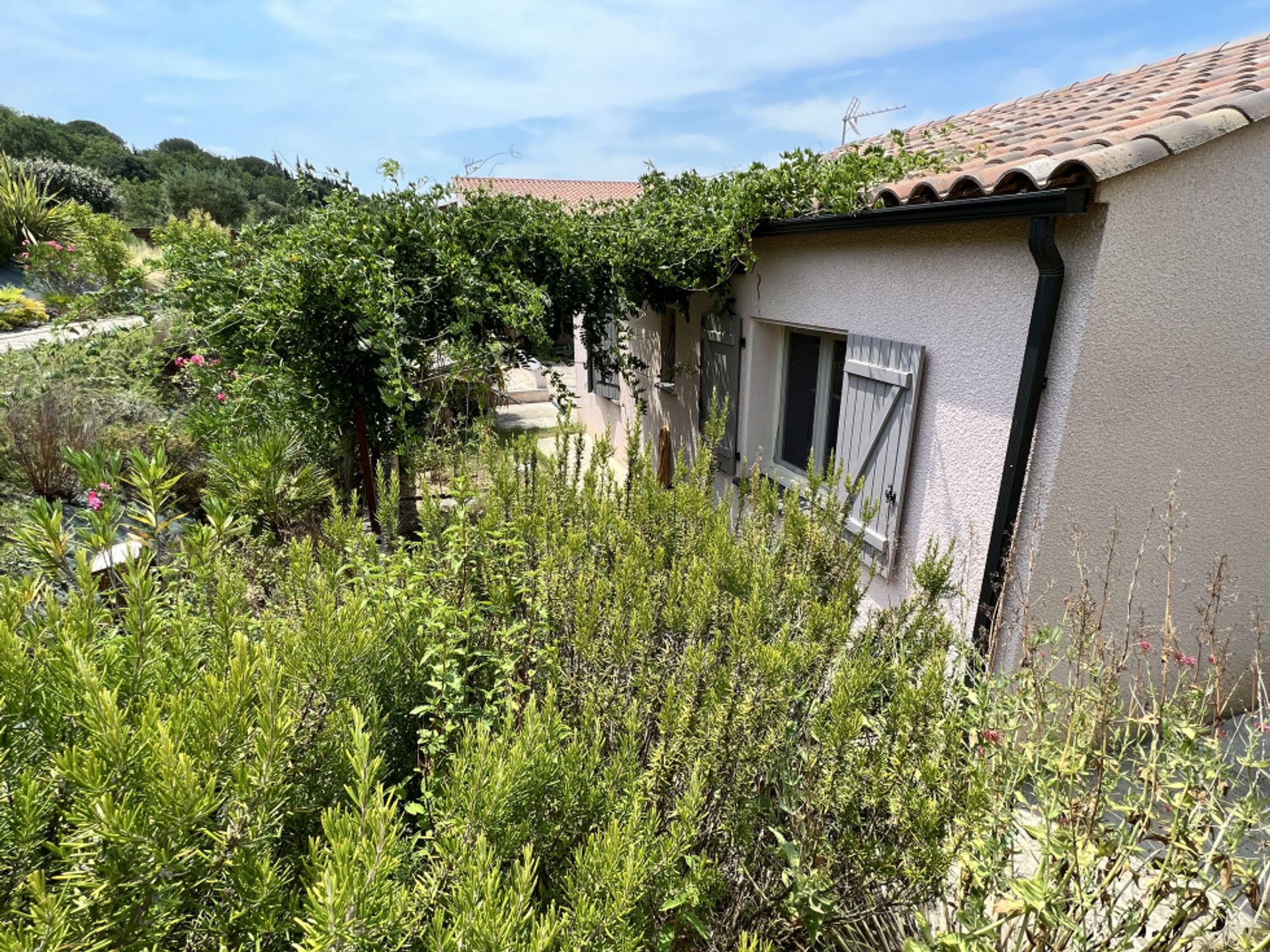 Casa nel Limoux, Occitanie 10829232