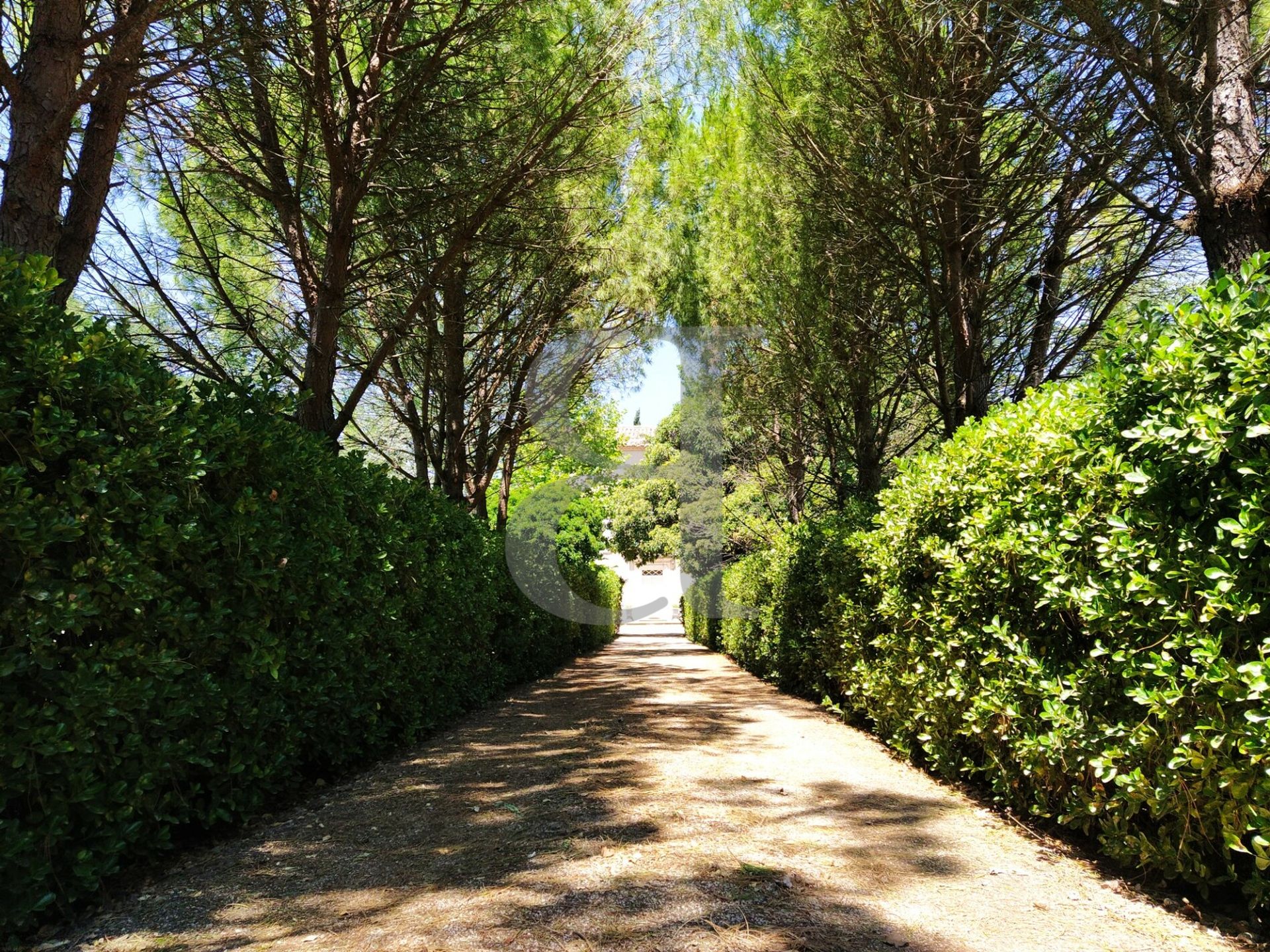 Yang lain dalam L'Isle-sur-la-Sorgue, Provence-Alpes-Côte d'Azur 10829236