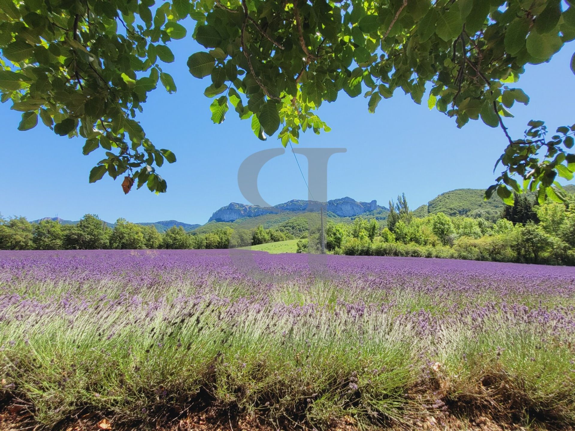 rumah dalam La Bégude-de-Mazenc, Auvergne-Rhône-Alpes 10829385