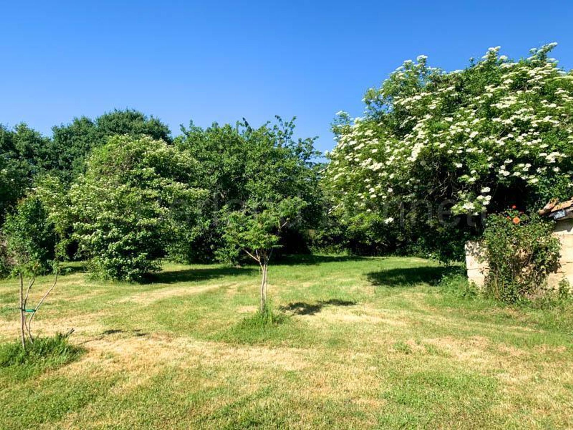 Casa nel La Mothe-Saint-Héray, Nouvelle-Aquitaine 10829482