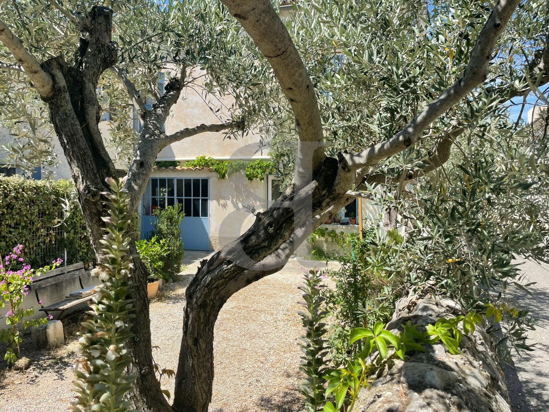 loger dans Saint-Rémy-de-Provence, Provence-Alpes-Côte d'Azur 10829517