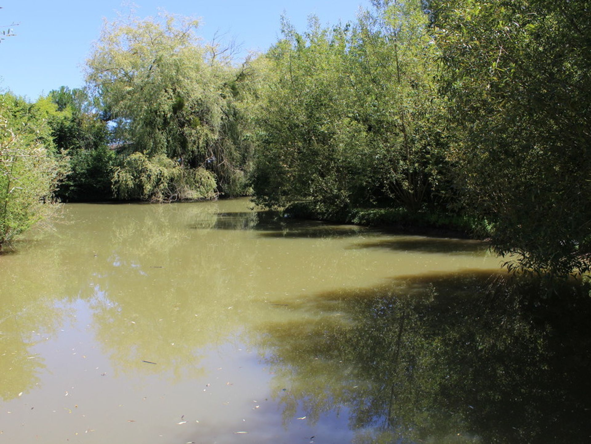 casa en Bergerac, Nueva Aquitania 10829753