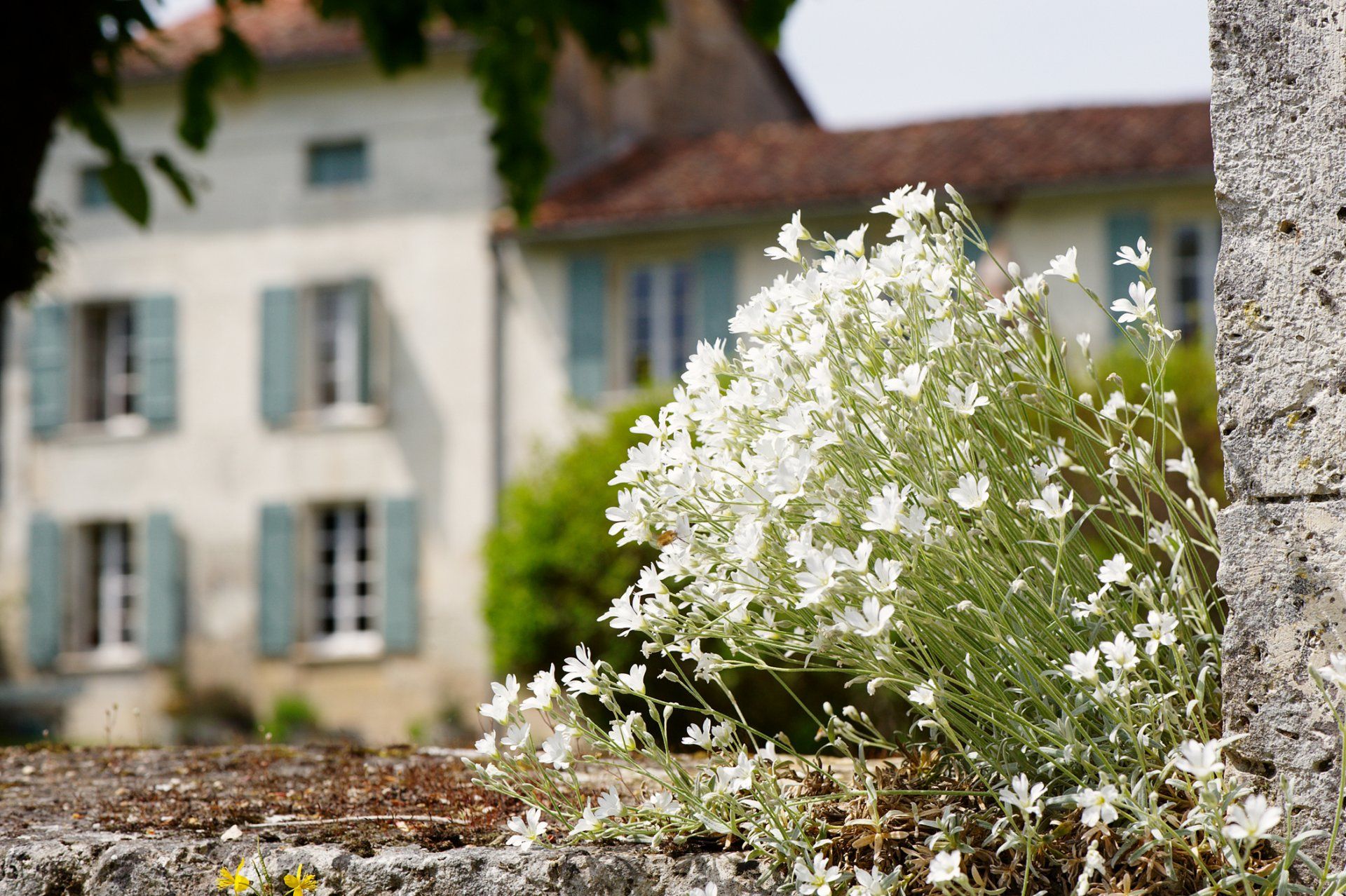 casa en Aubeterre-sur-Dronne, Nouvelle-Aquitaine 10829803