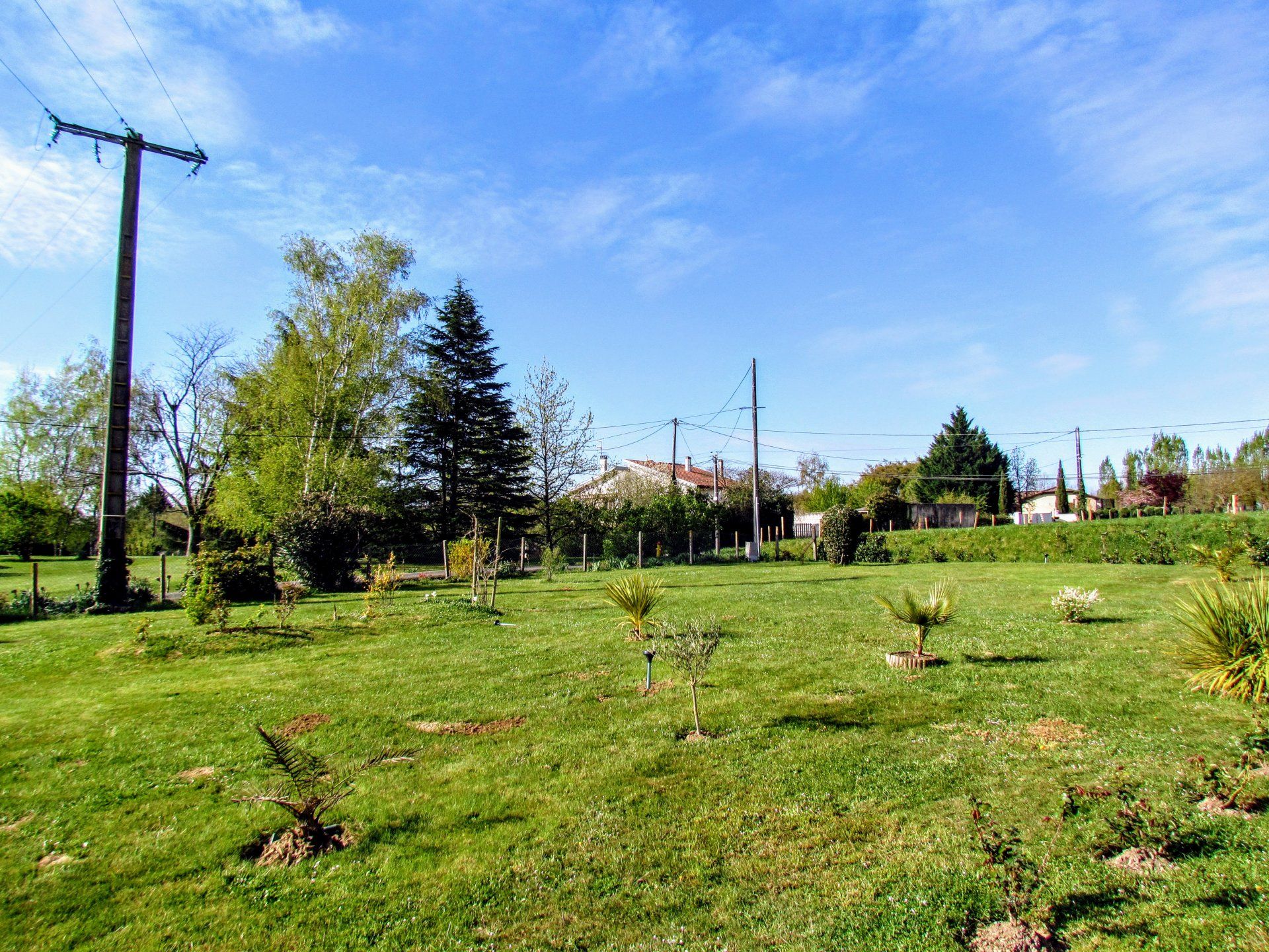 Lain di Miramont-de-Guyenne, Nouvelle-Aquitaine 10829807