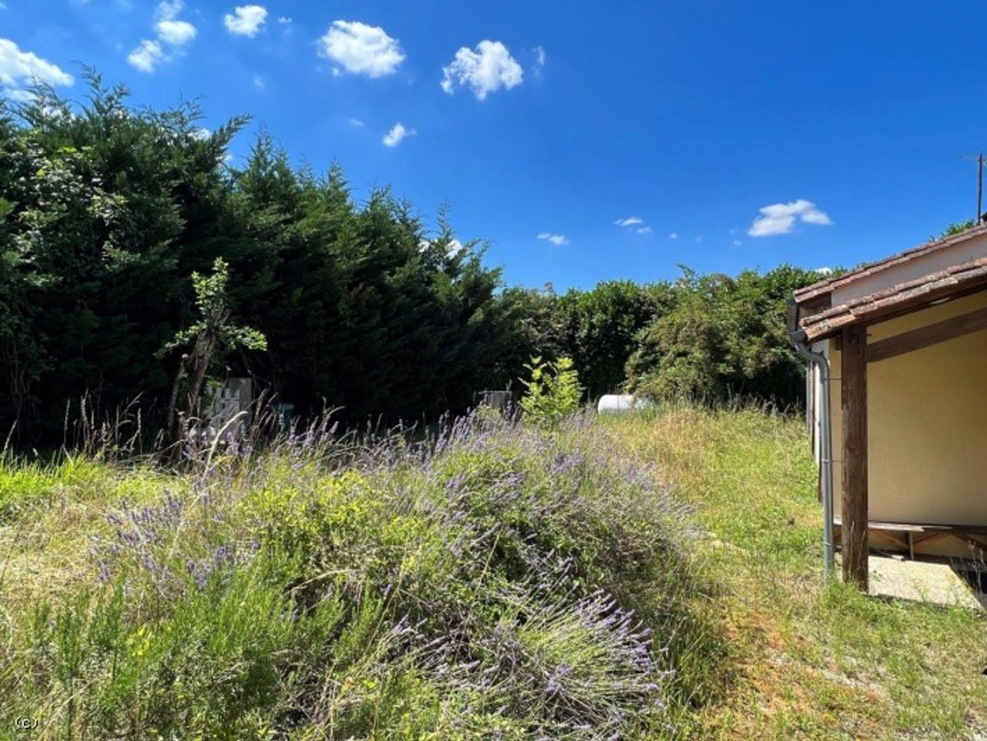 casa no Champagne-Mouton, Nouvelle-Aquitaine 10829942