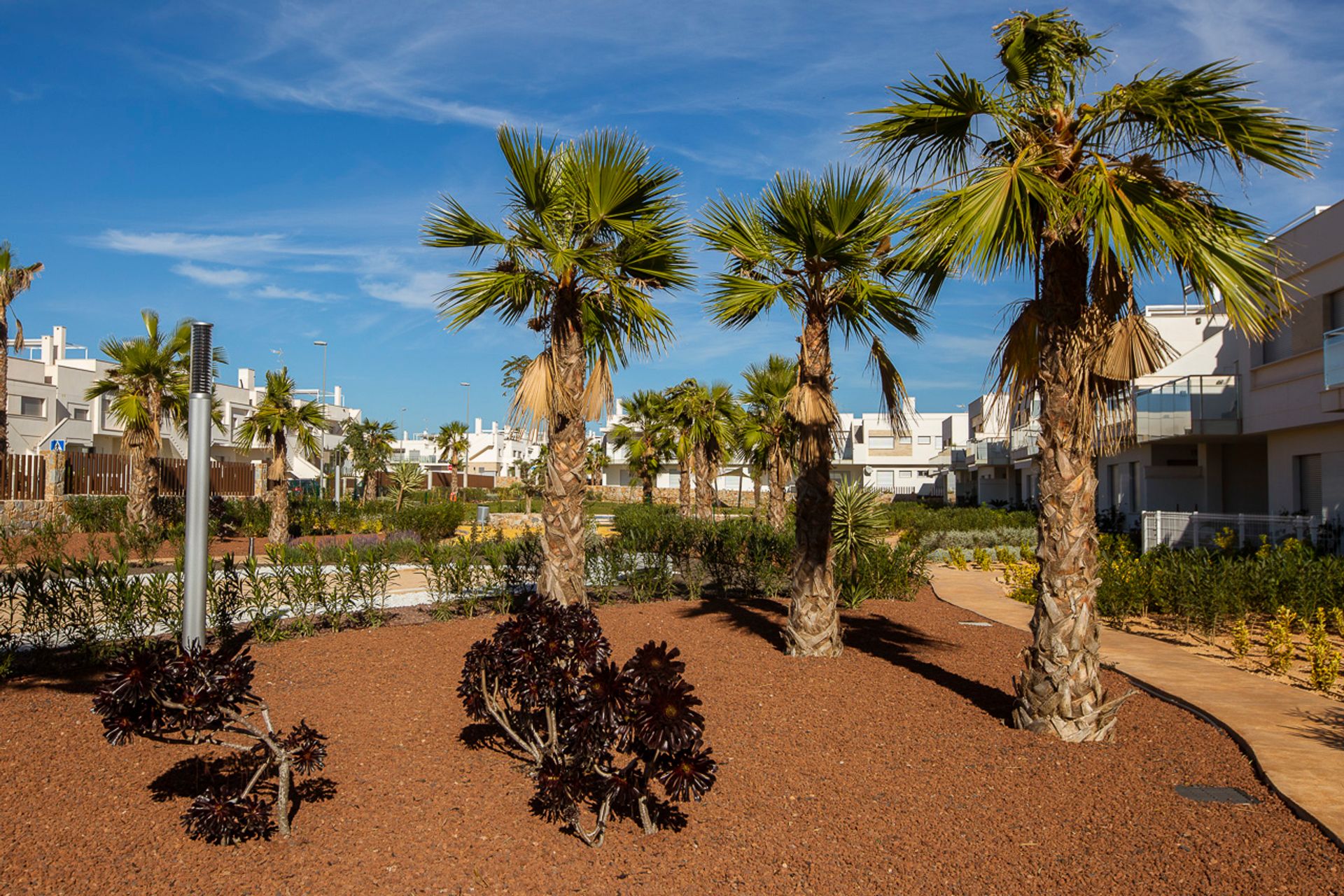 жилой дом в San Miguel de Salinas, Valencian Community 10830348