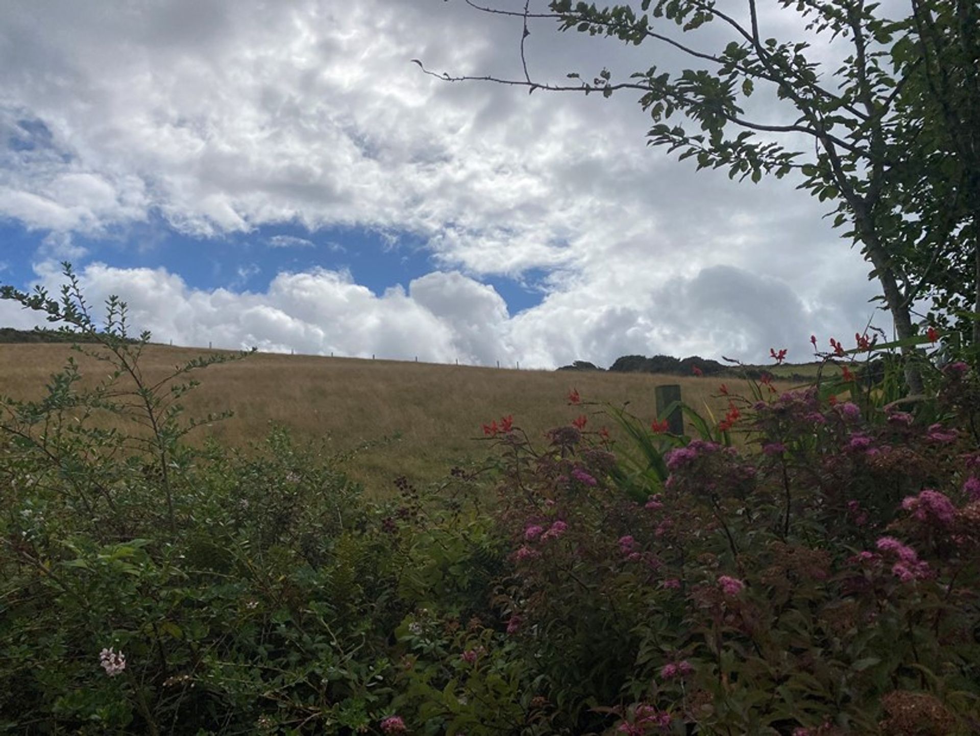 Casa nel Monreith, Dumfries and Galloway 10830520