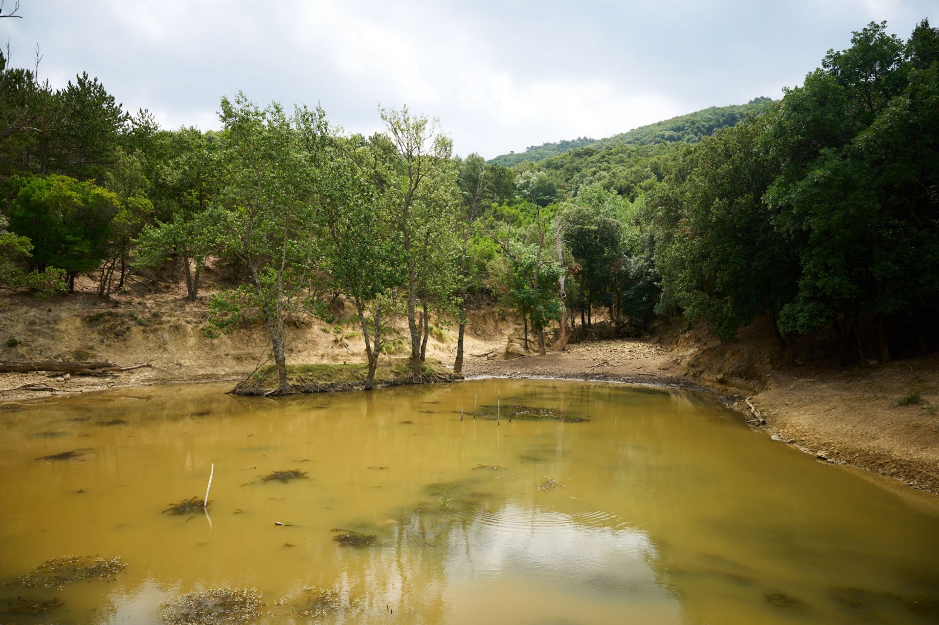 Kondominium dalam Pomas, Occitanie 10831281