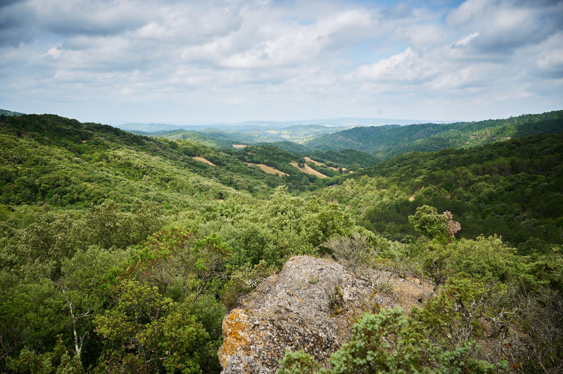 Kondominium dalam Pomas, Occitanie 10831281