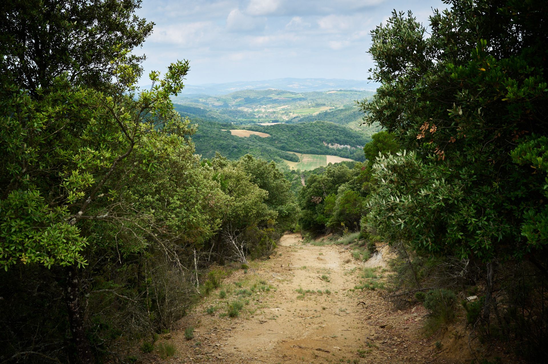 Kondominium dalam Pomas, Occitanie 10831281