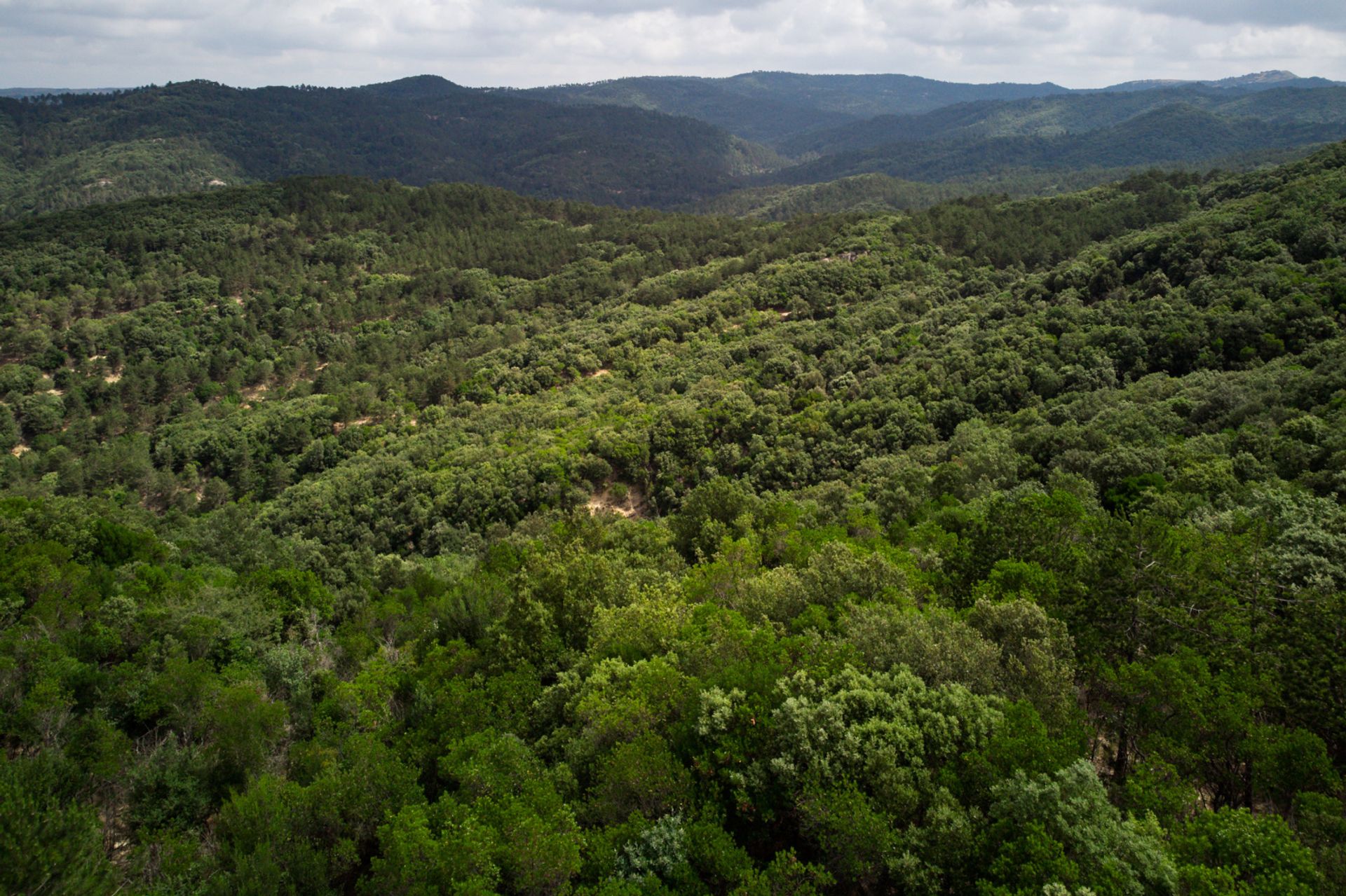 Kondominium dalam Pomas, Occitanie 10831281