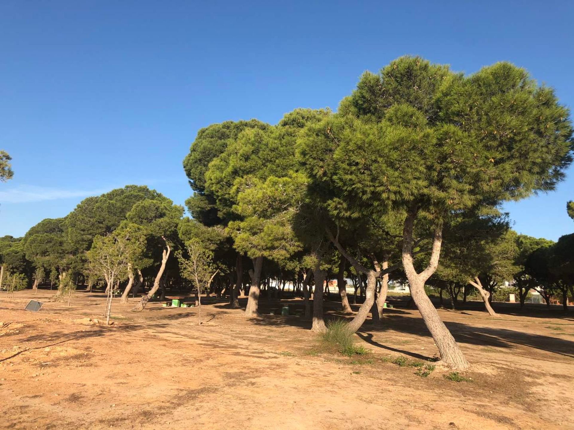 Condomínio no Santiago de la Ribera, Region of Murcia 10831526