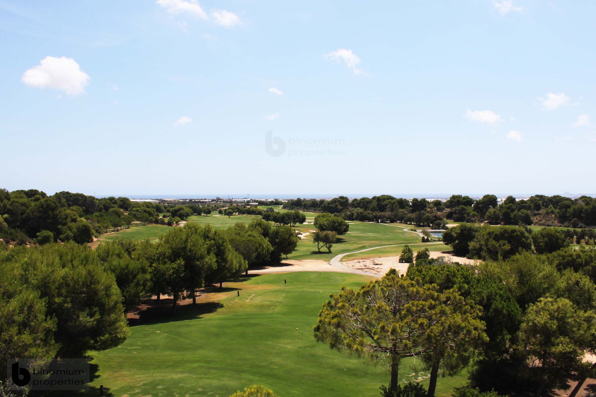 Condominium dans Pilar de la Horadada, Valencian Community 10831584