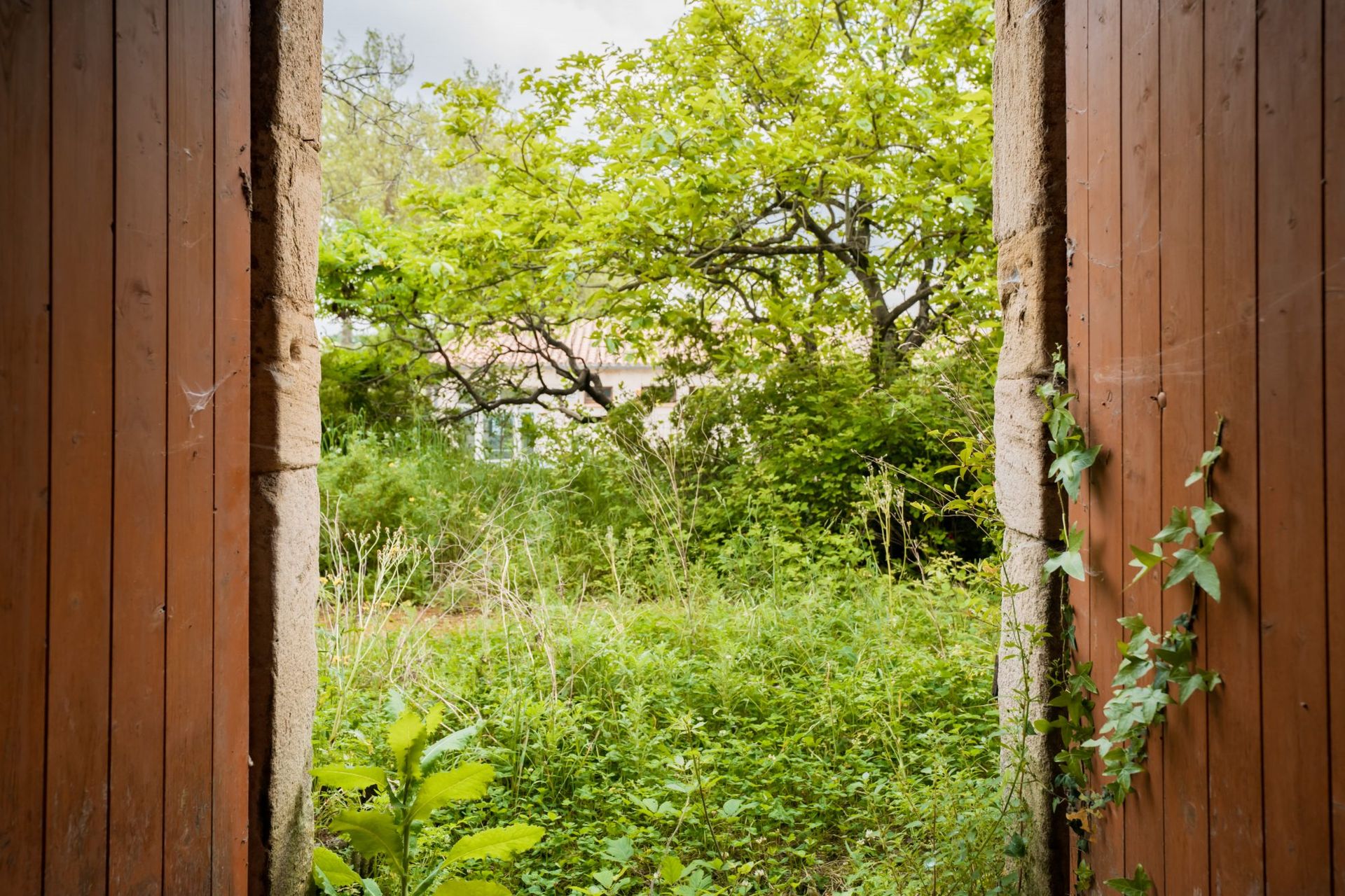 בַּיִת ב Labastide-d'Anjou, Occitanie 10831711