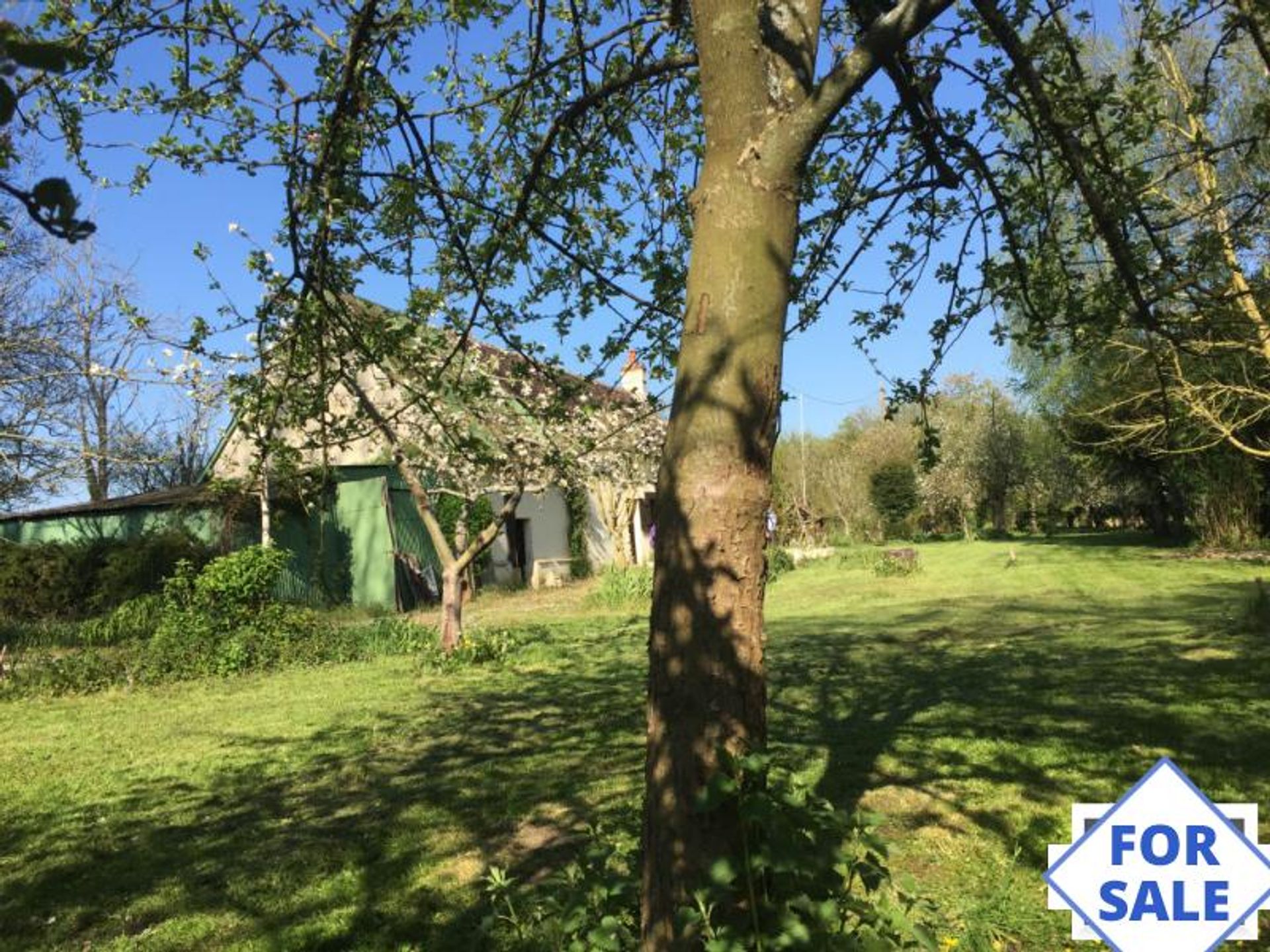 House in Mortagne-au-Perche, Normandy 10831961