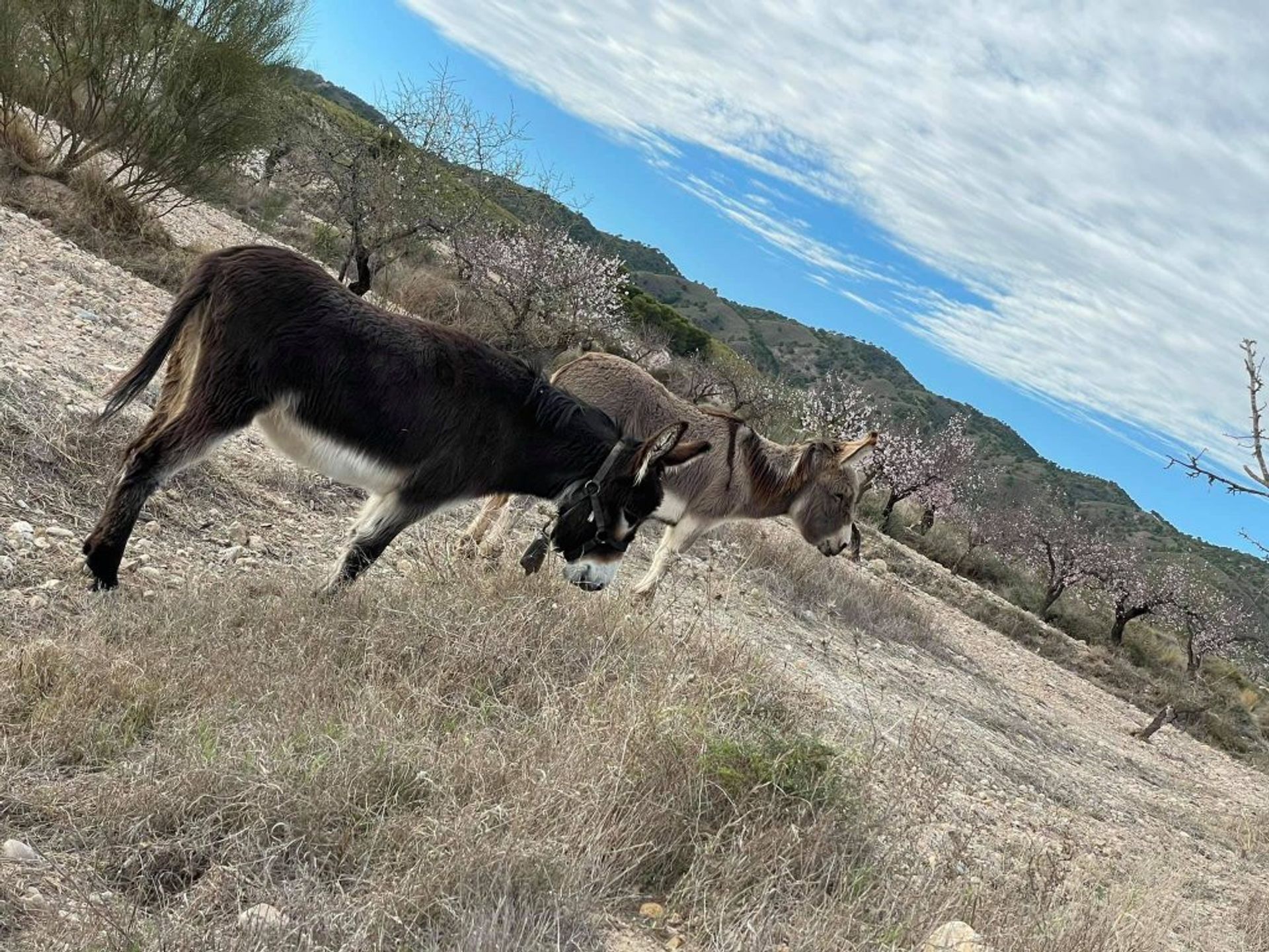 公寓 在 Corvera, Región de Murcia 10832133