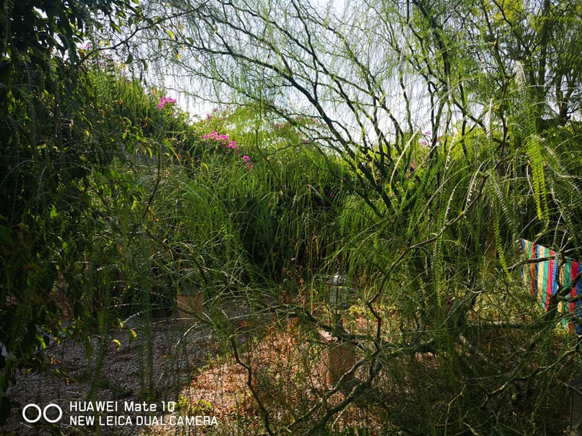 σπίτι σε San Cayetano, Región de Murcia 10832494