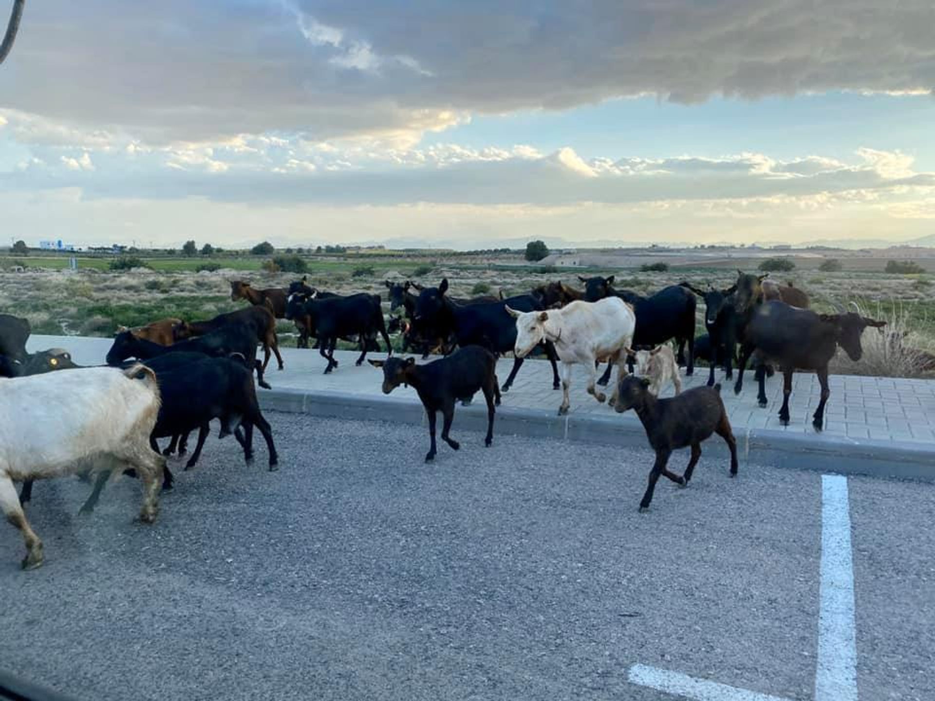 Συγκυριαρχία σε Corvera, Μούρθια 10832518