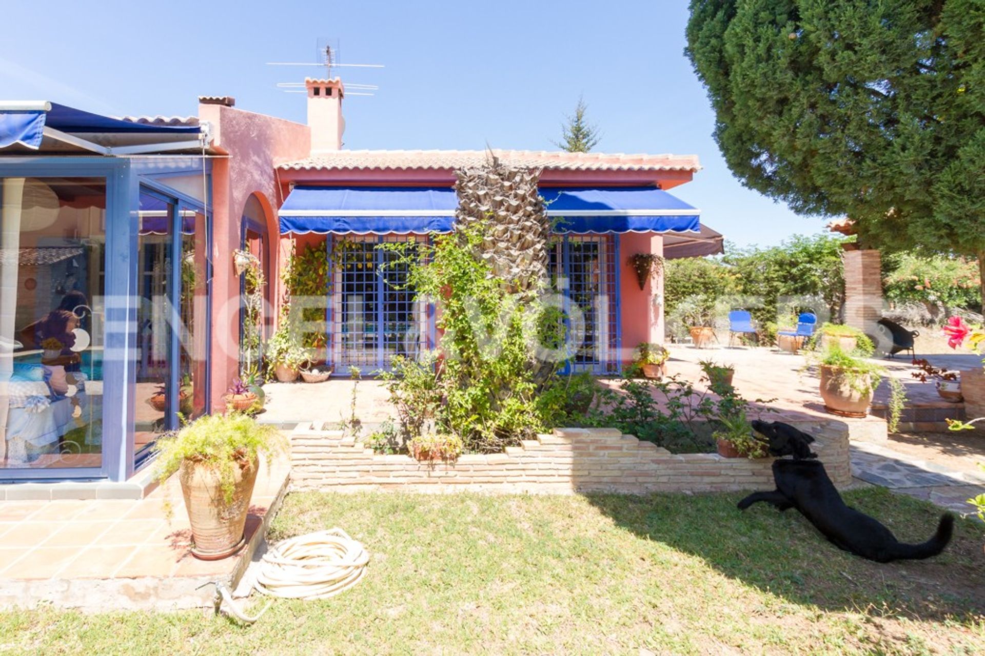 casa en Torrevieja, Valencia 10833237