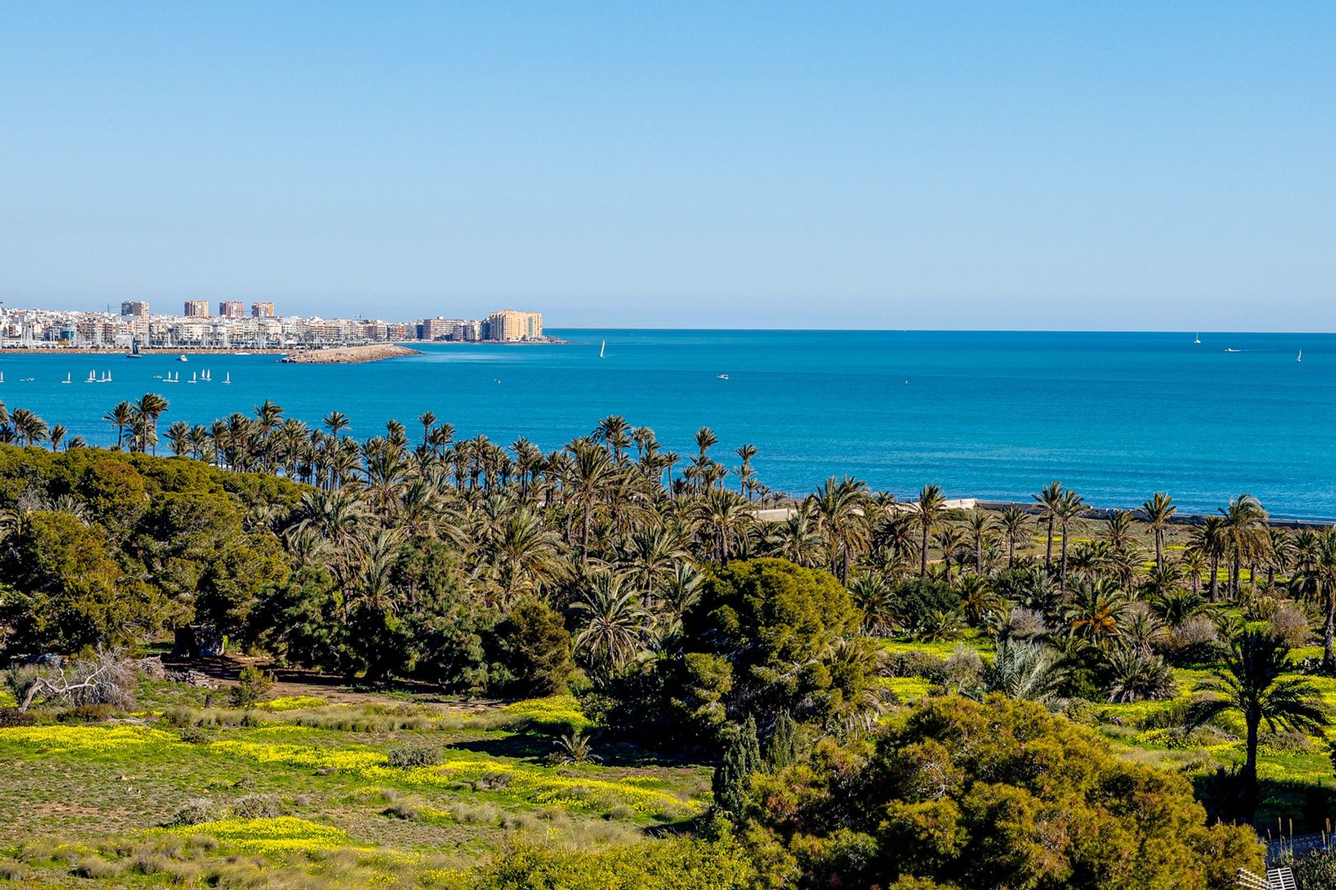 Συγκυριαρχία σε Torrevieja, Valencian Community 10833251