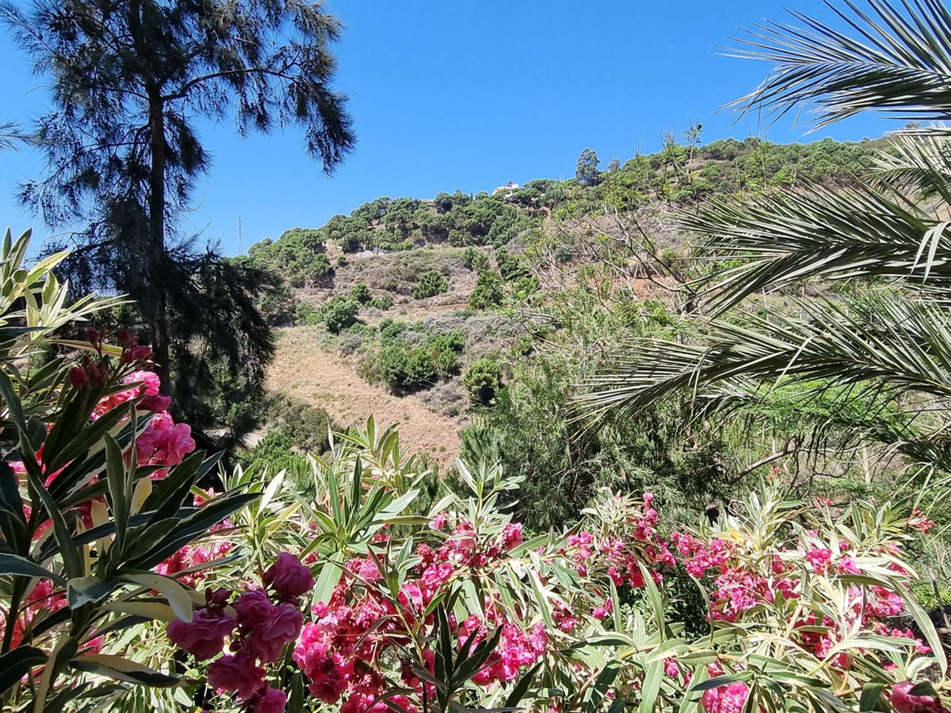 房子 在 Estepona, Andalusia 10833379