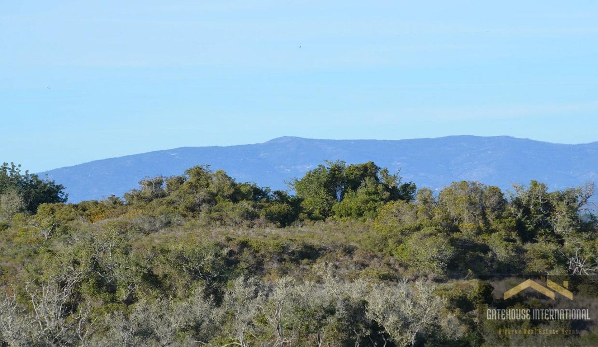 Terra no Carvoeiro, Faro 10833473