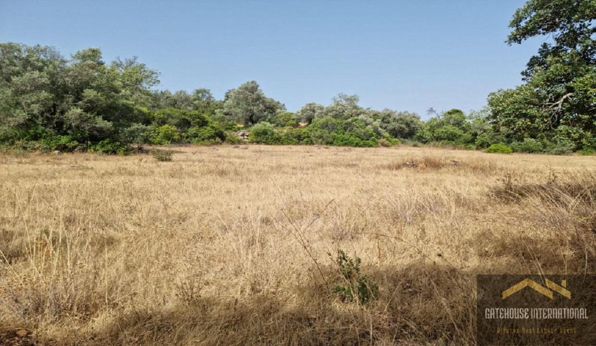 Land in São Brás de Alportel, Faro District 10833650