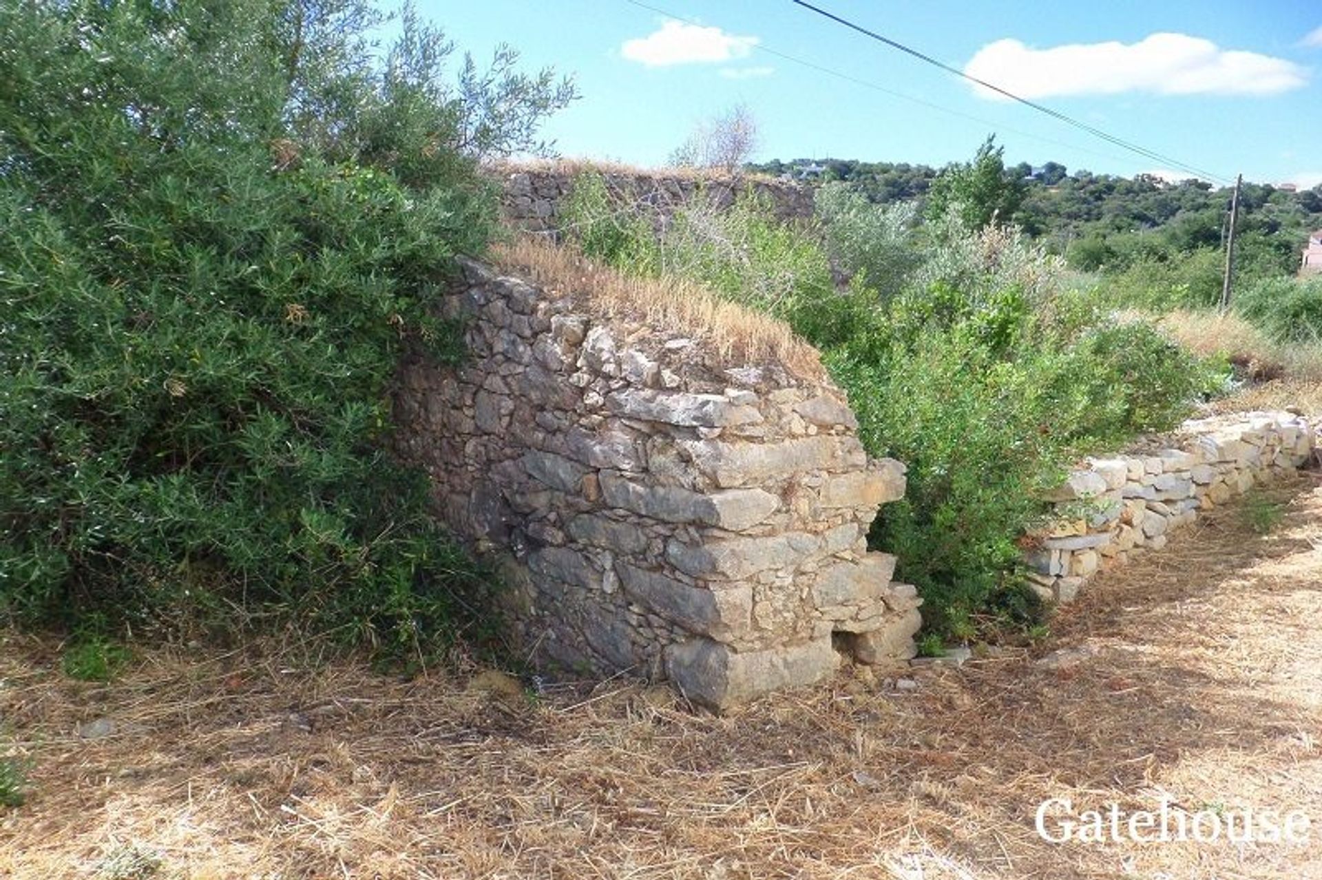 Tierra en Caños, Faraón 10833775