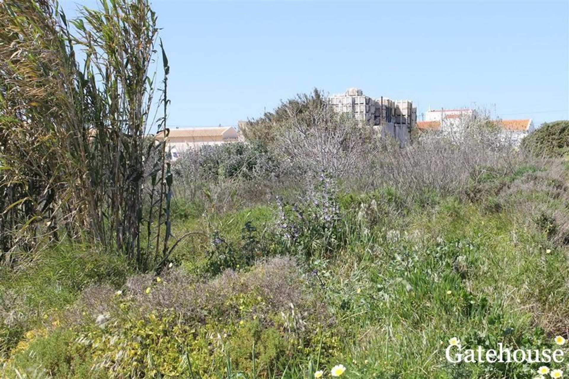 Land in Sagres, Faro 10833819