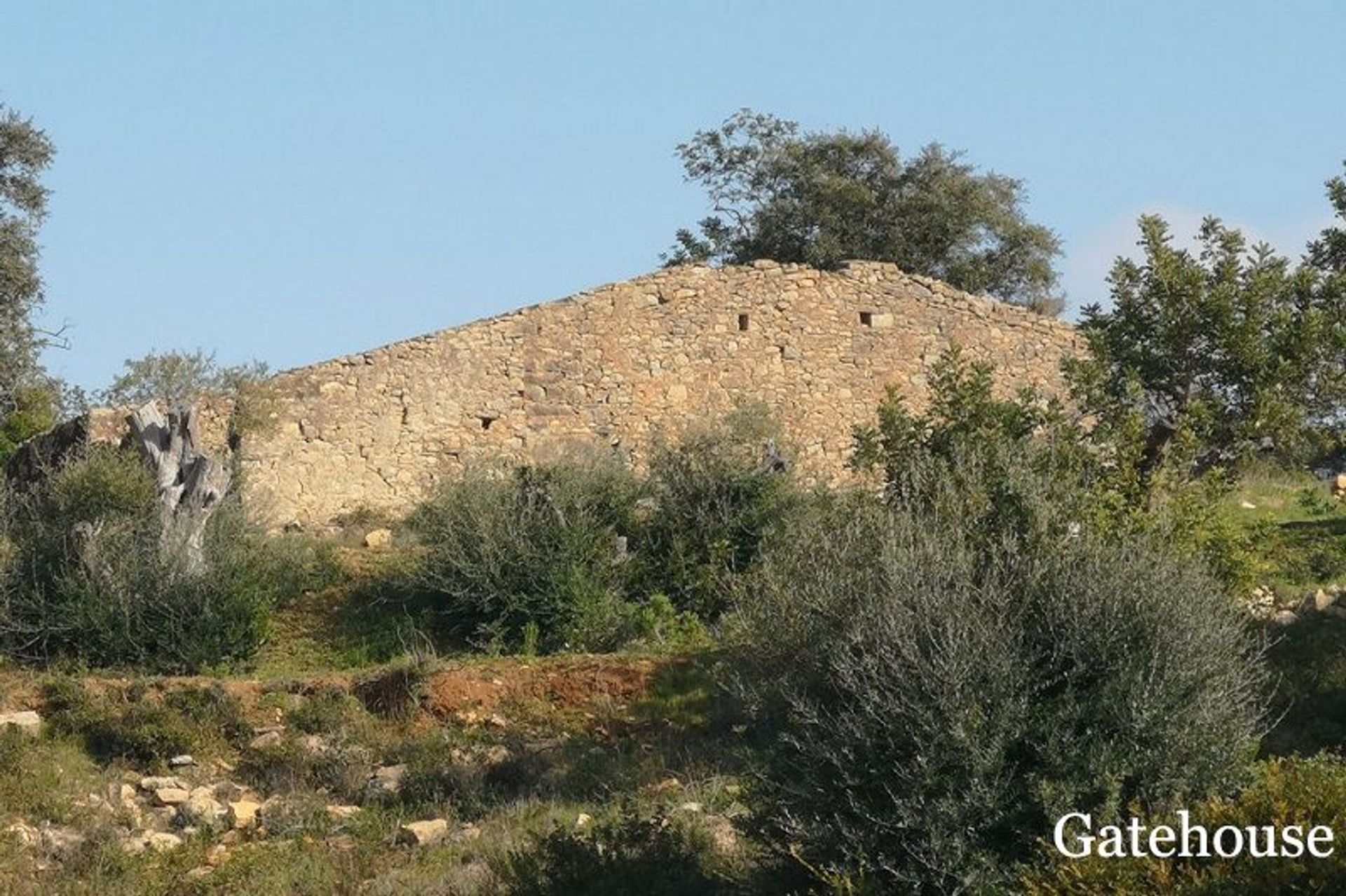 Land in São Brás de Alportel, Faro District 10833873