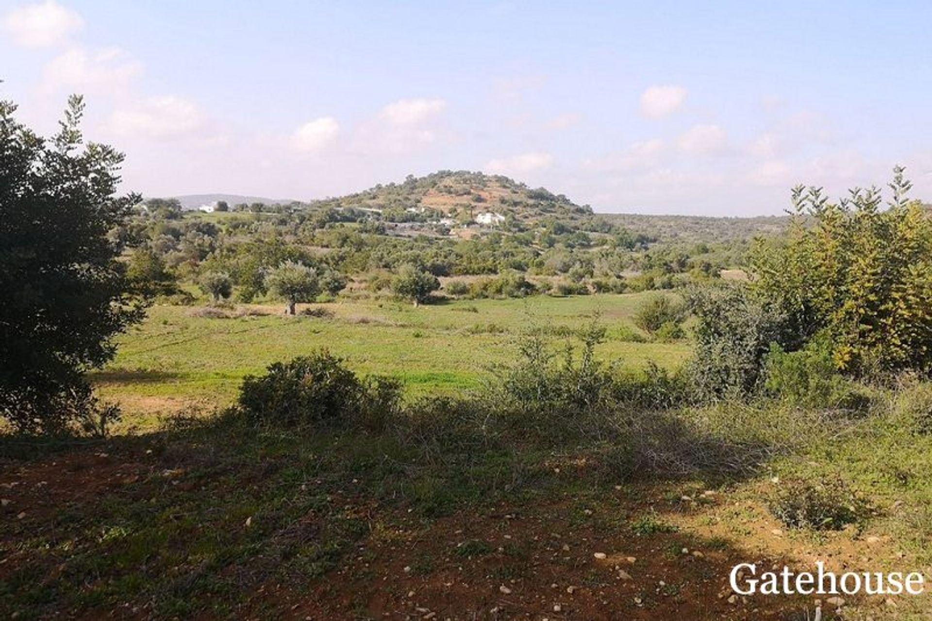 Land in São Brás de Alportel, Faro District 10833873