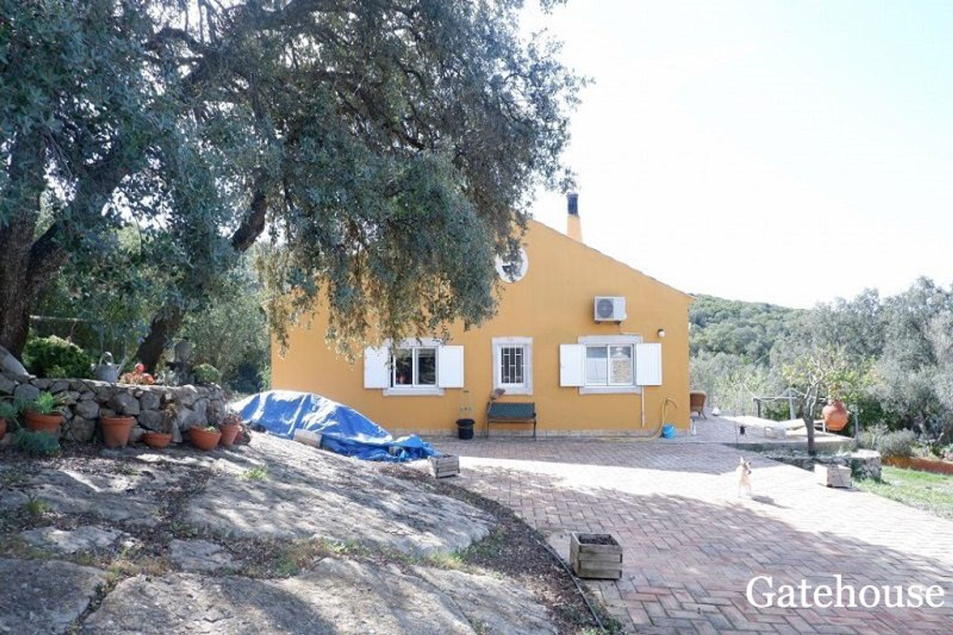 Huis in Santa Bárbara de Nexe, Faro 10833896