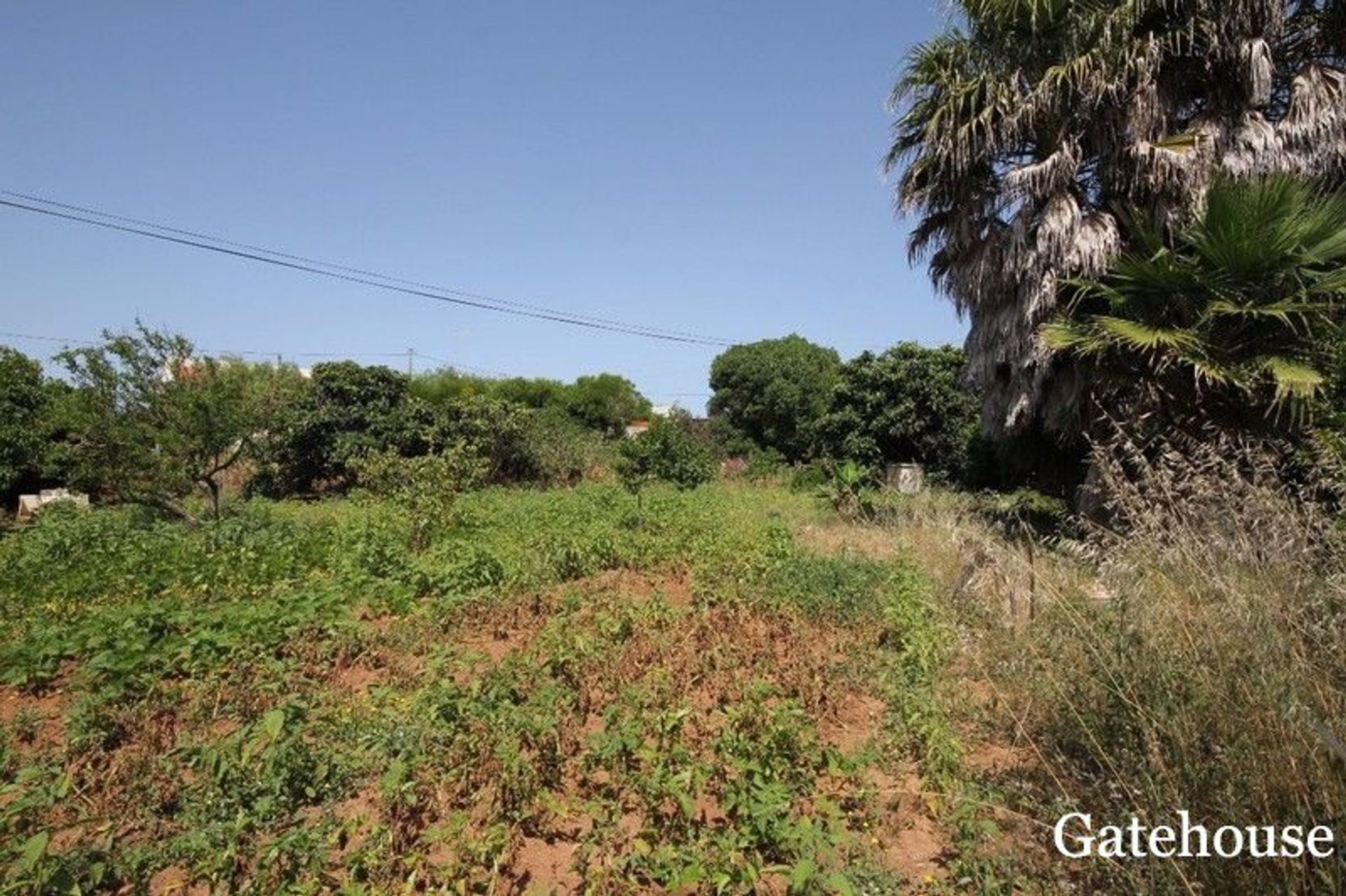 casa en sagres, Faraón 10833921