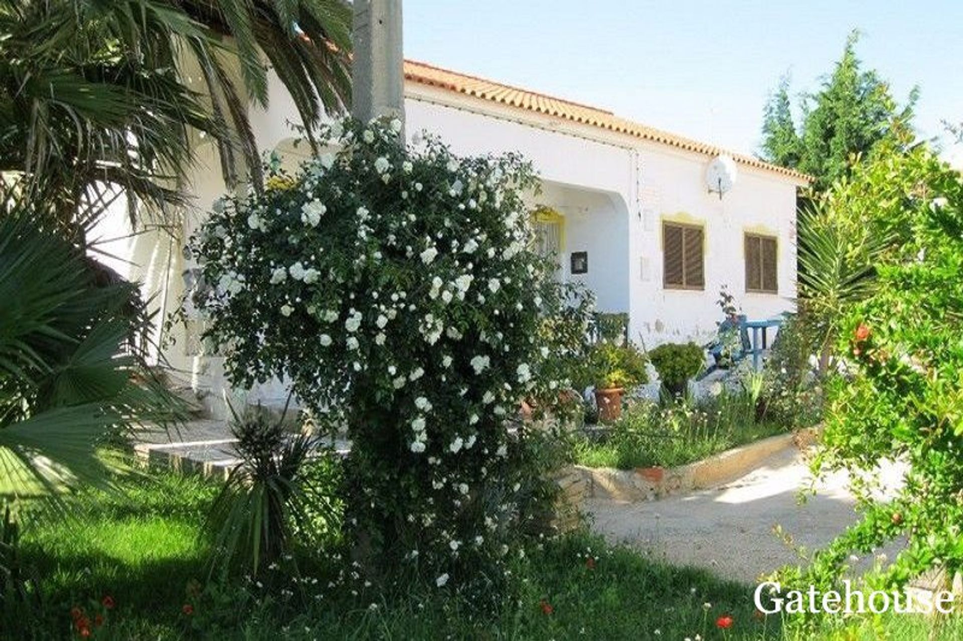 casa en sagres, Faraón 10833921